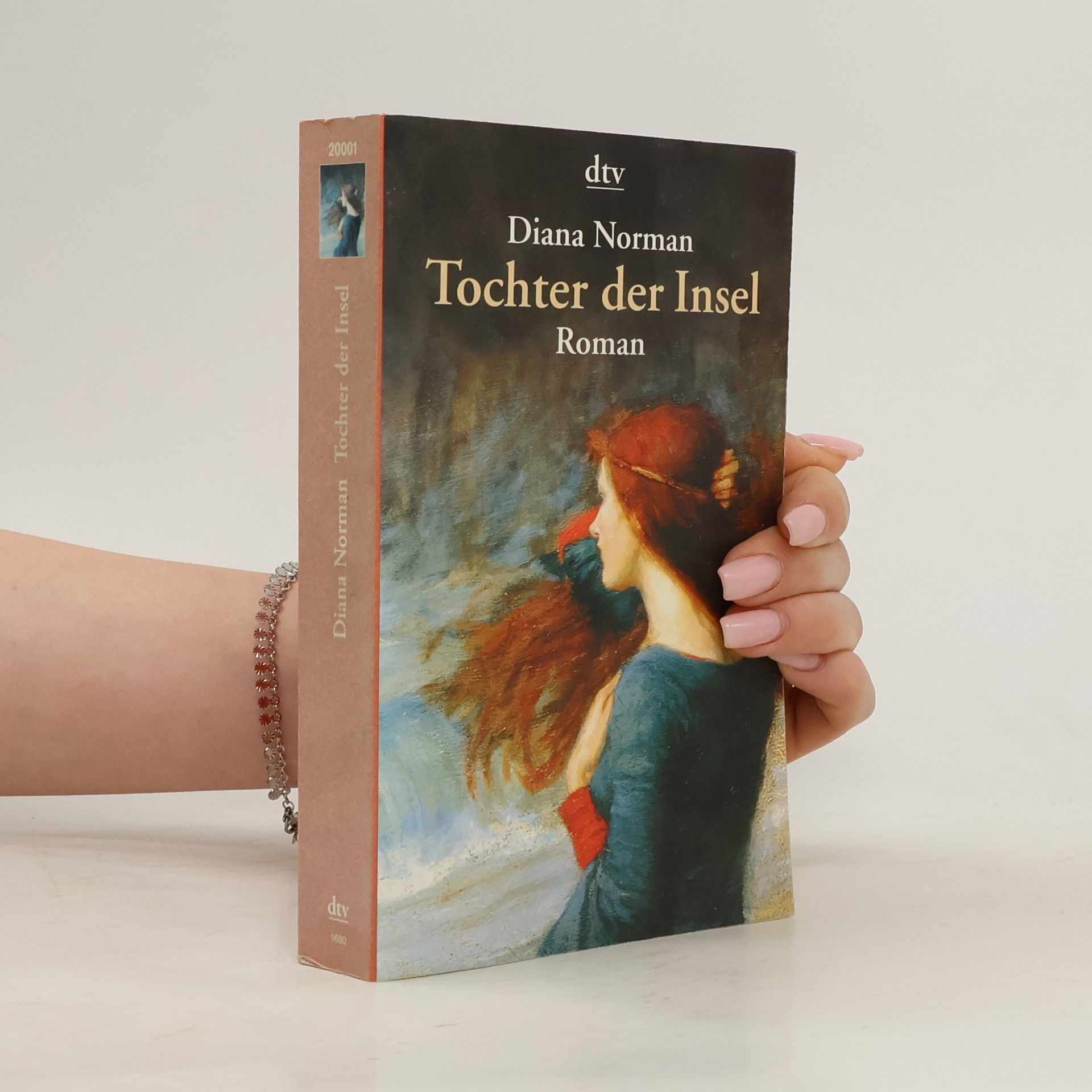 Diana Norman Tochter der Insel