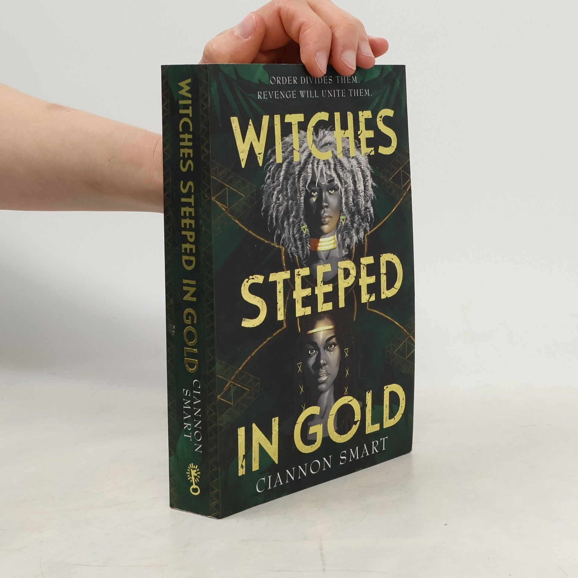 Ciannon Smart Witches Steeped in Gold