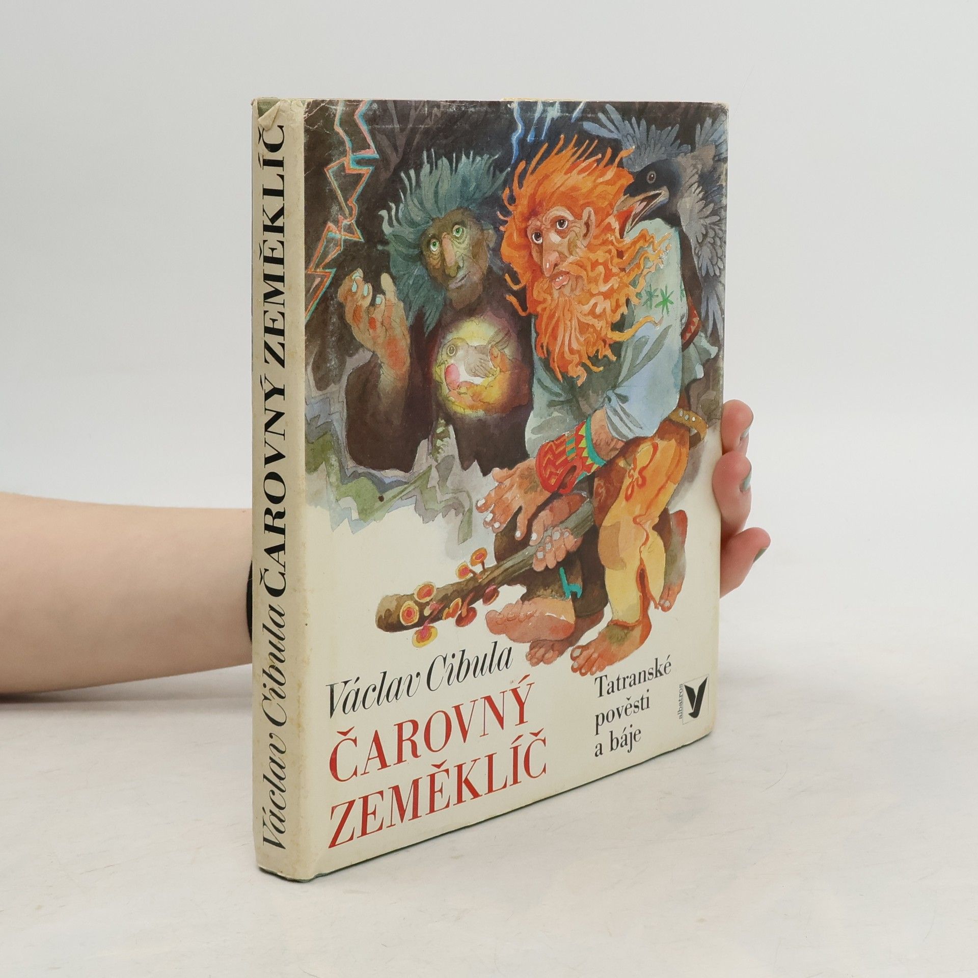 Václav Cibula Čarovný zeměklíč