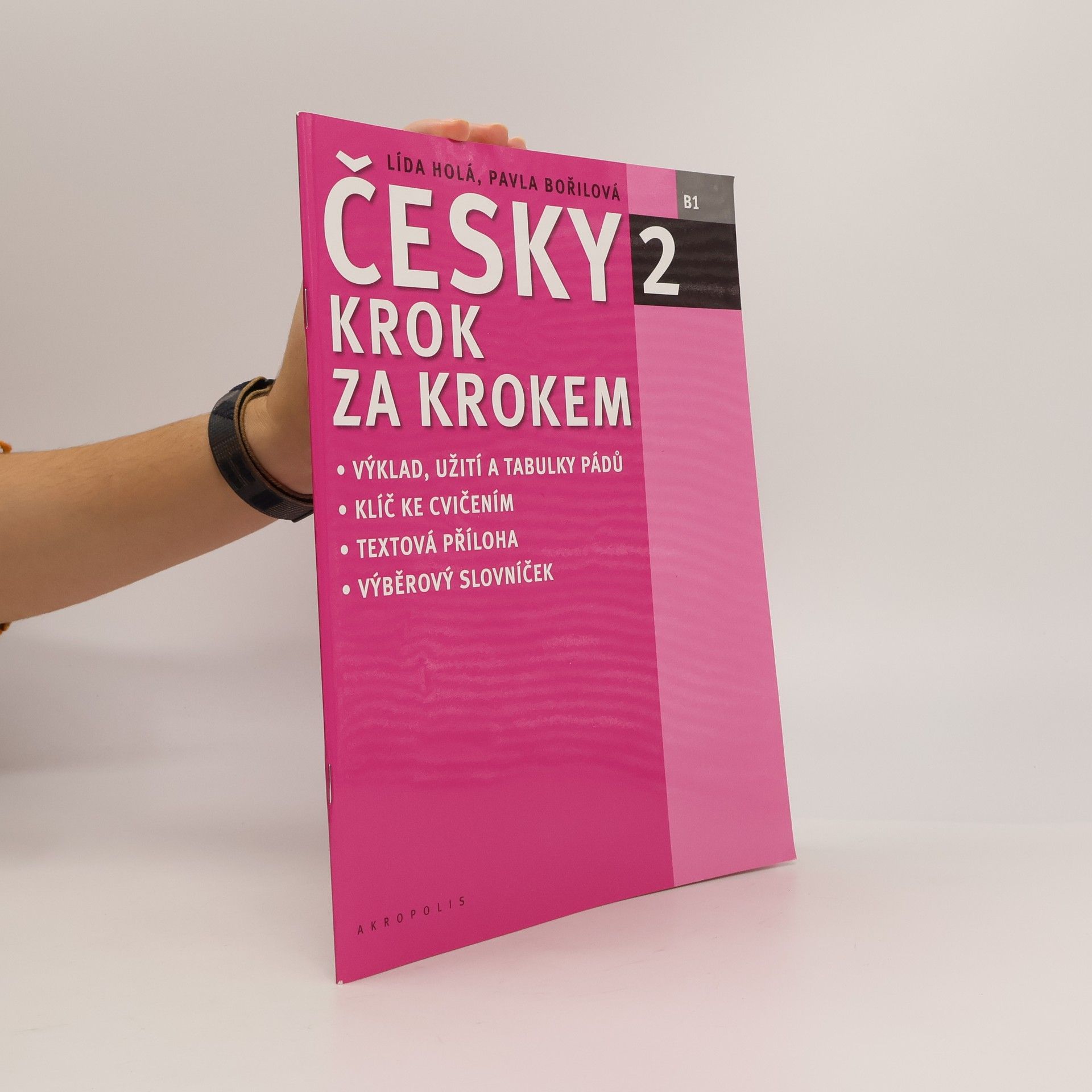 Lída Holá Česky krok za krokem 2. B1 (Příloha)