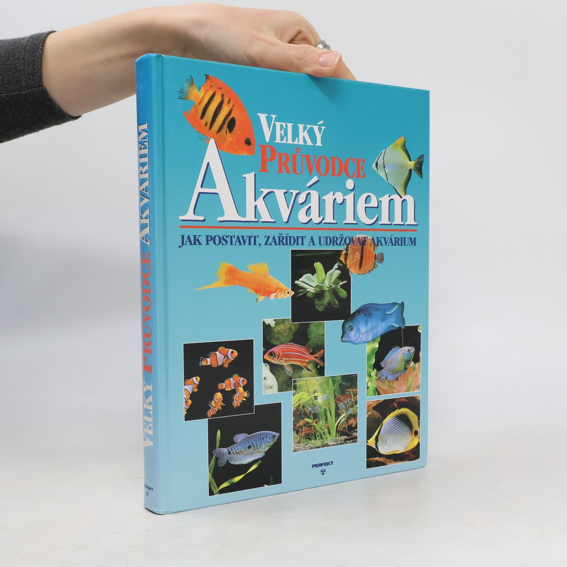 Thierry Maitre Allain Velký průvodce akváriem