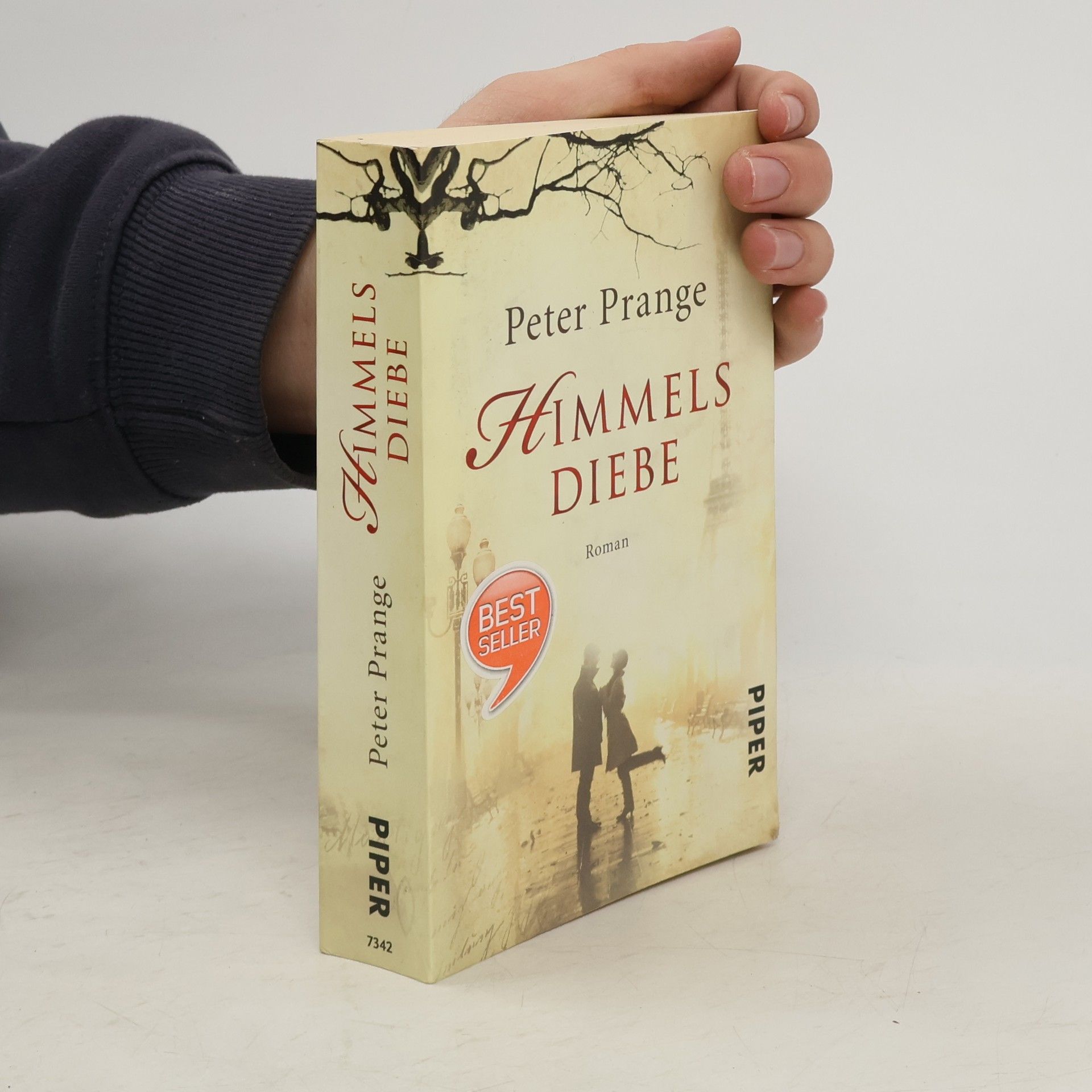 Peter Prange Himmels Diebe