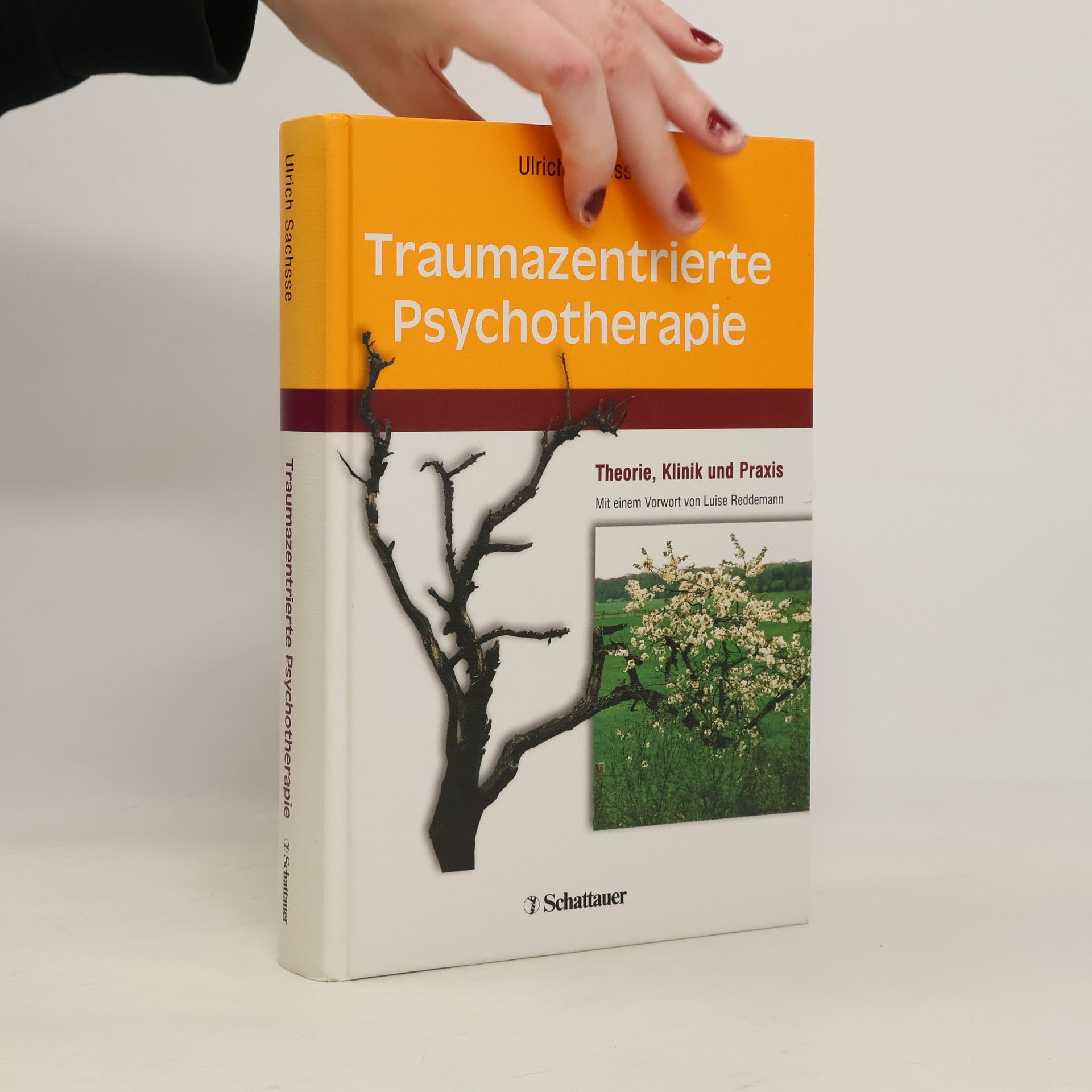 Ulrich Sachsse Traumazentrierte Psychotherapie