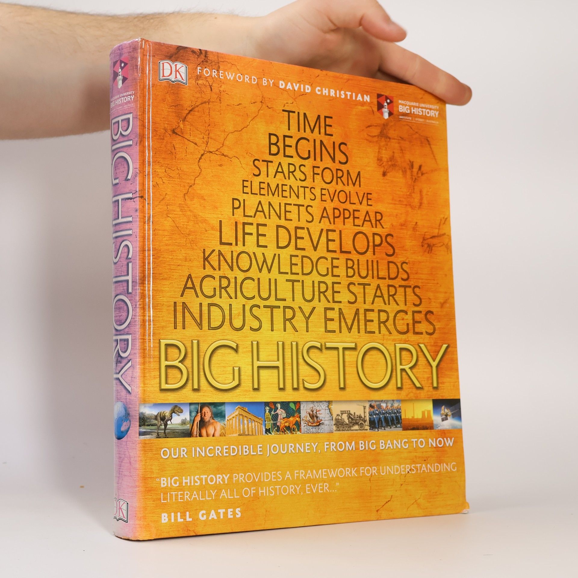 Cynthia Stokes Brown Big History