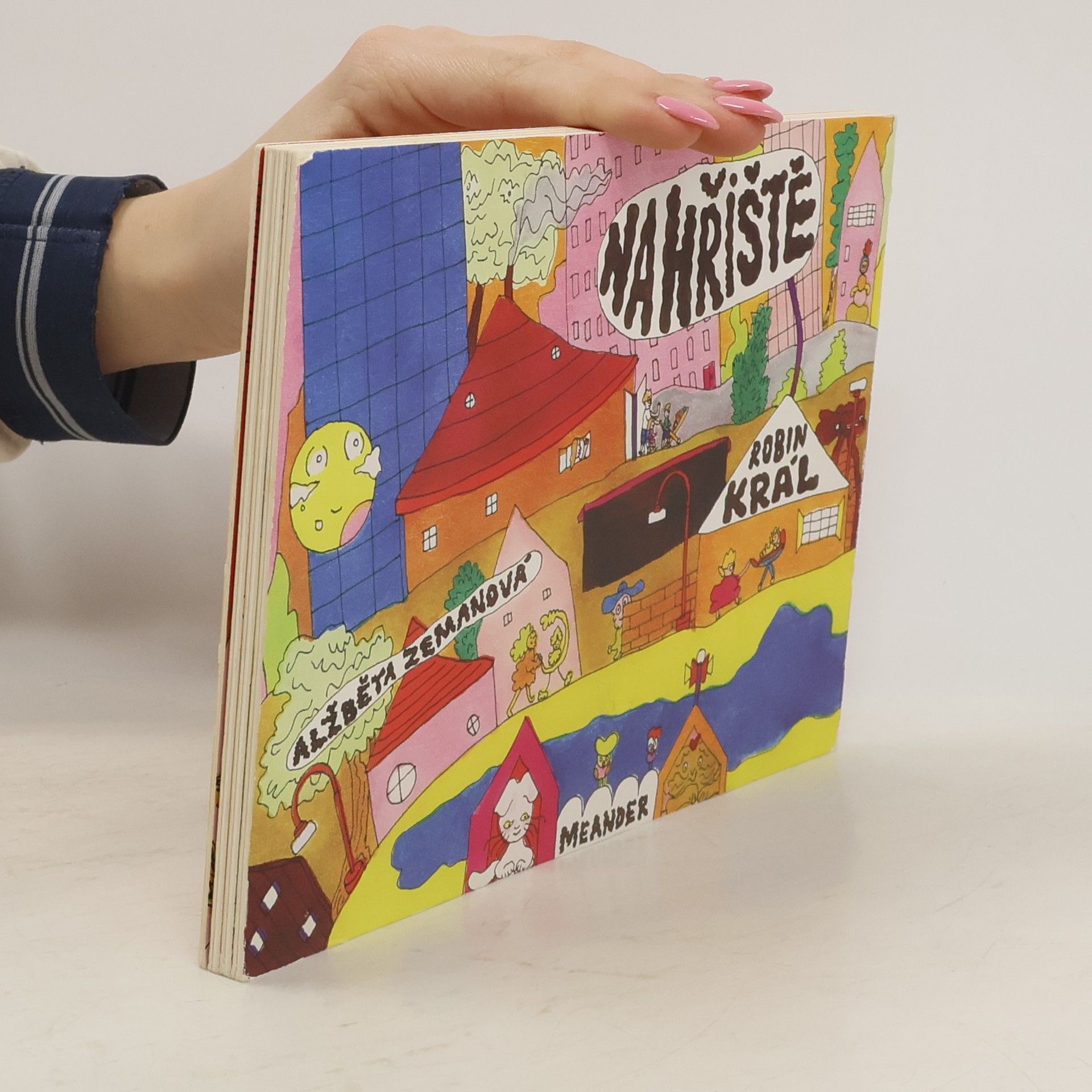 Robin Král Na hřiště