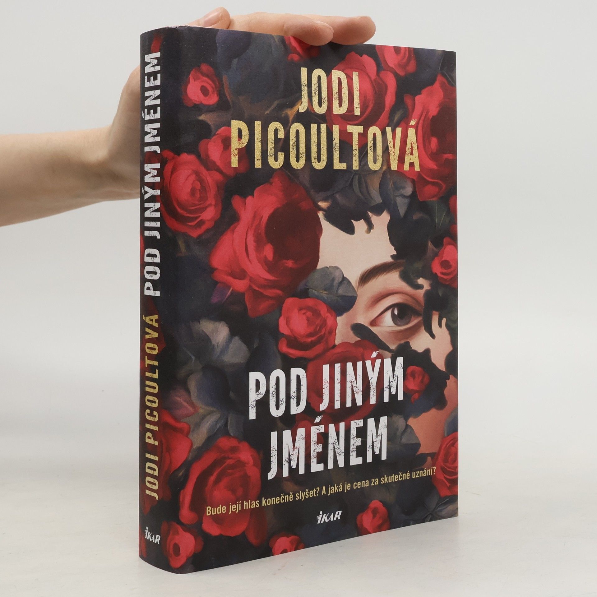 Jodi Picoult Pod jiným jménem