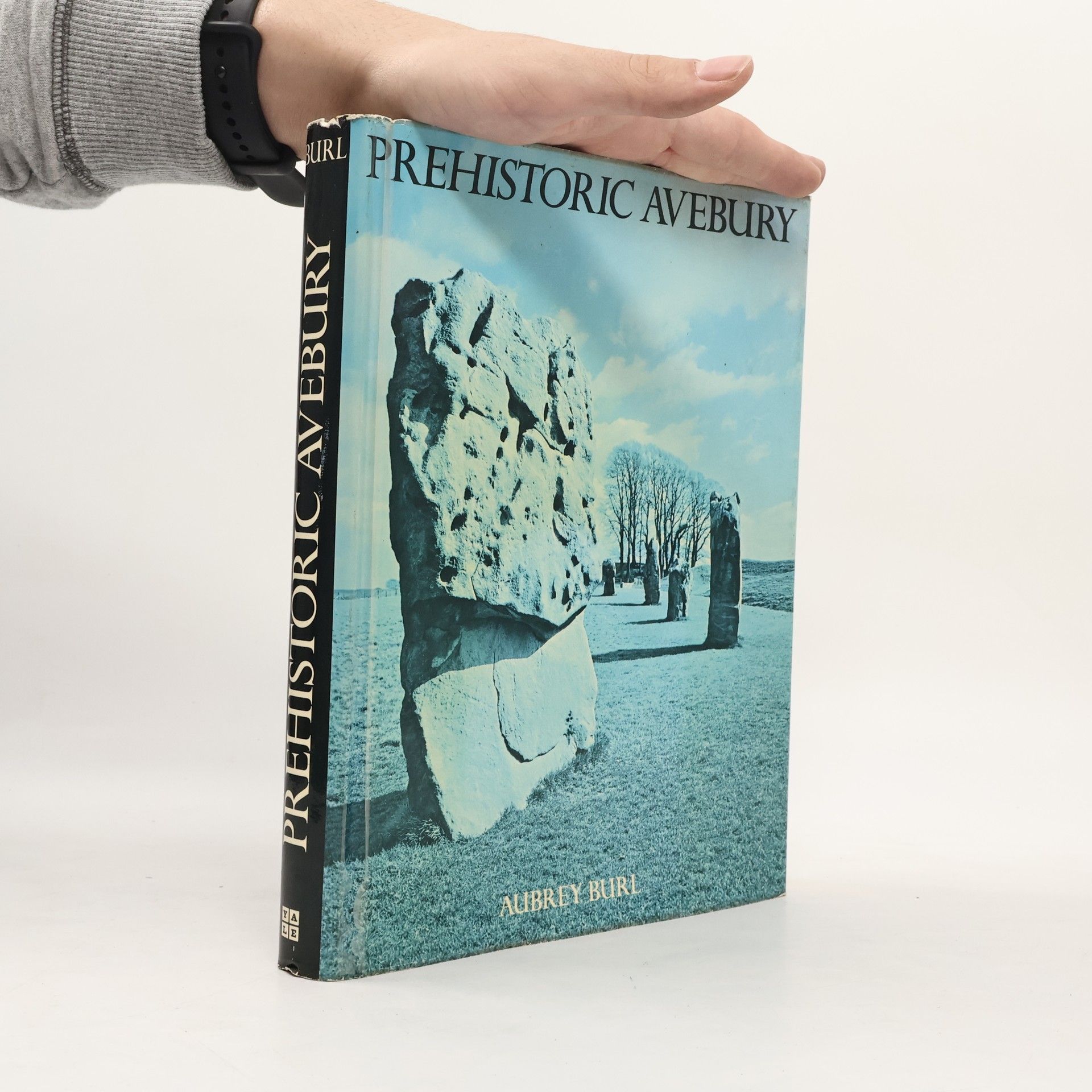 Aubrey Burl Prehistoric Avebury