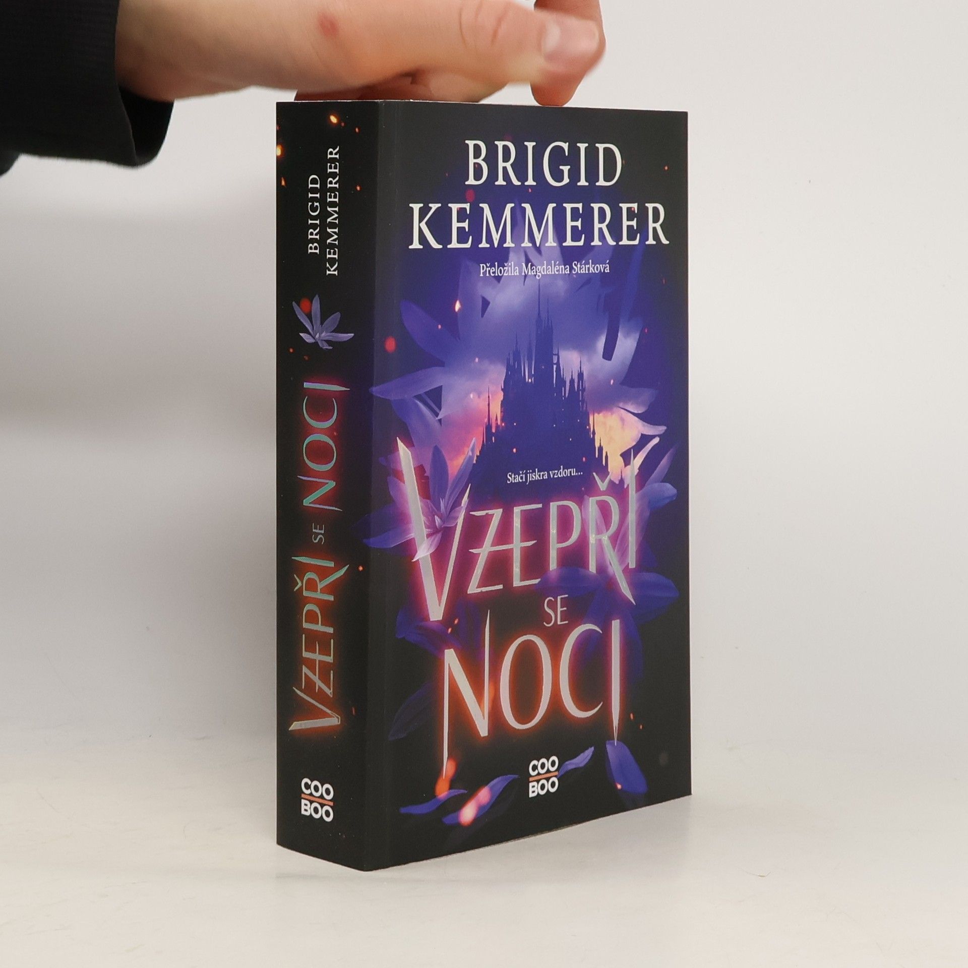 Brigid Kemmerer Vzepři se noci
