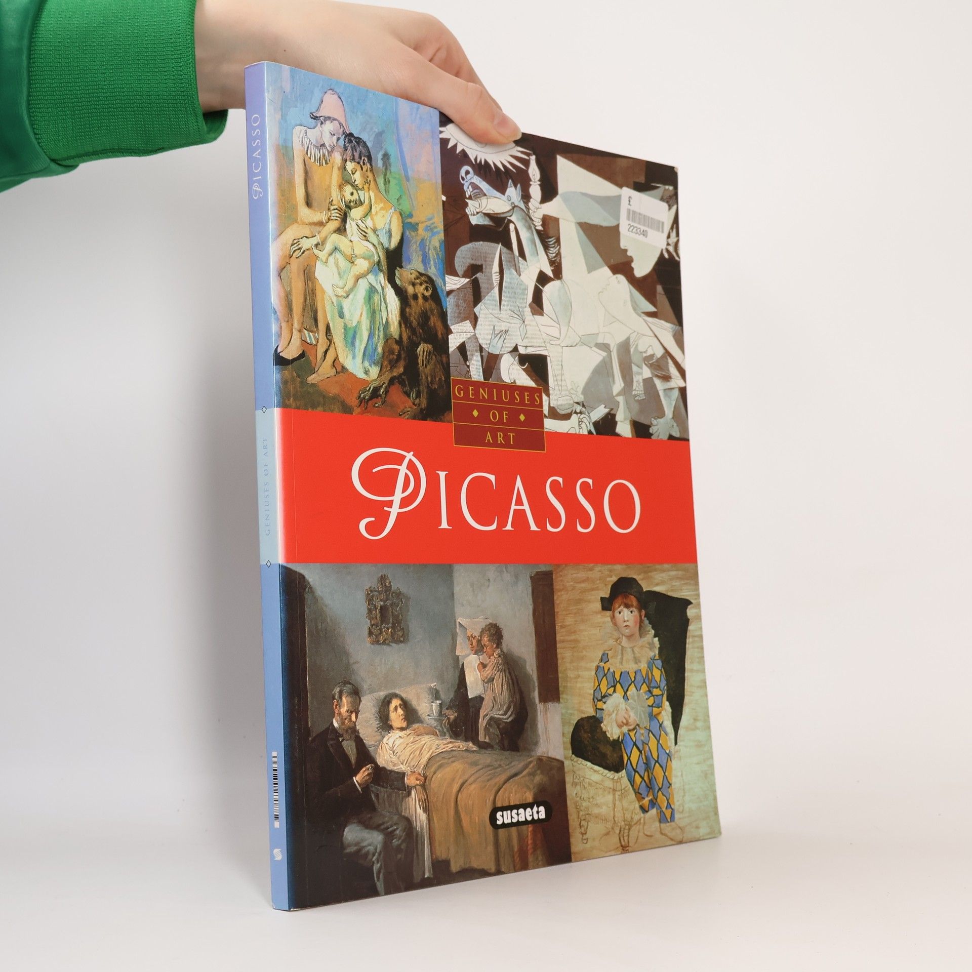 Kolektív autorov Picasso