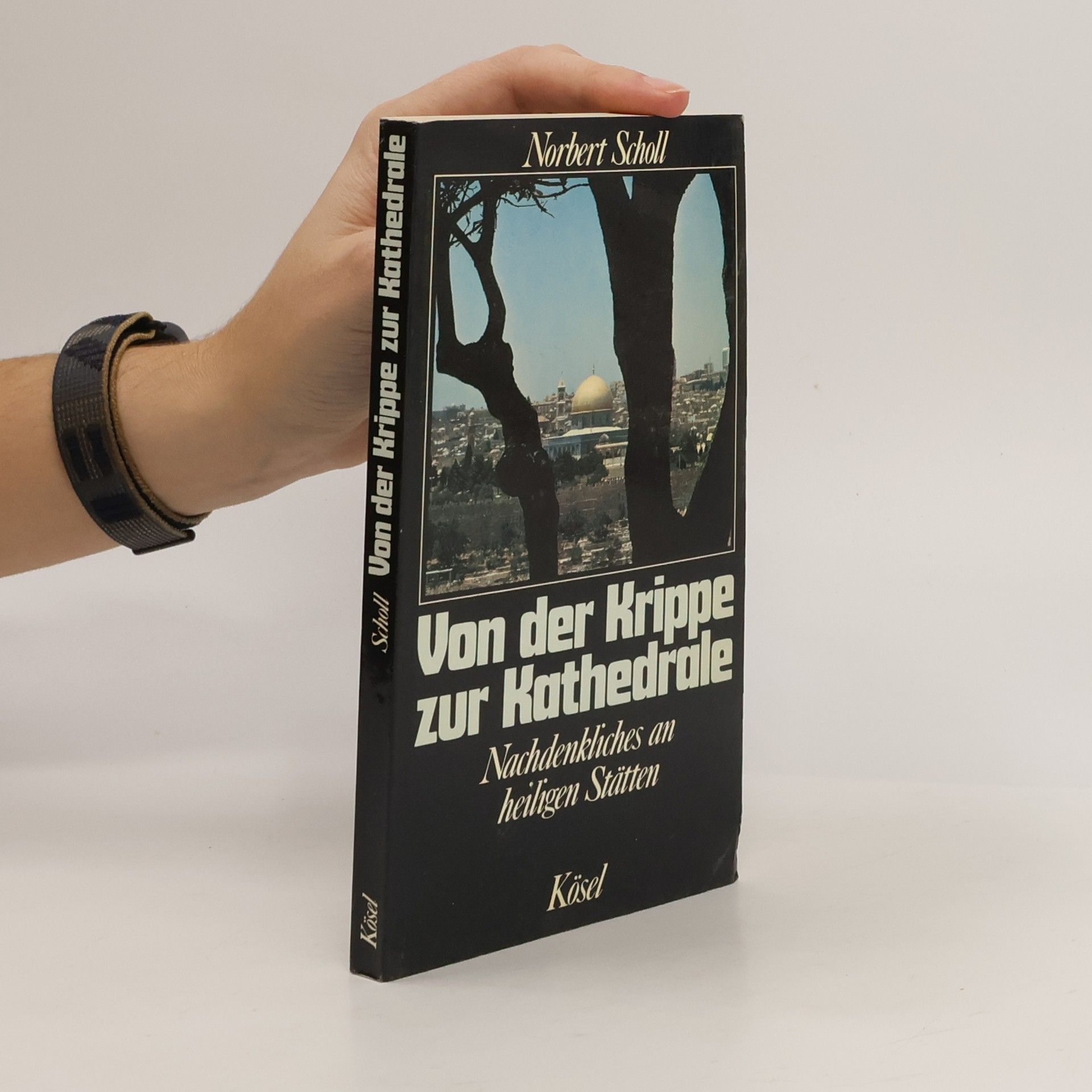 Norbert Scholl Von der Krippe zur Kathedrale