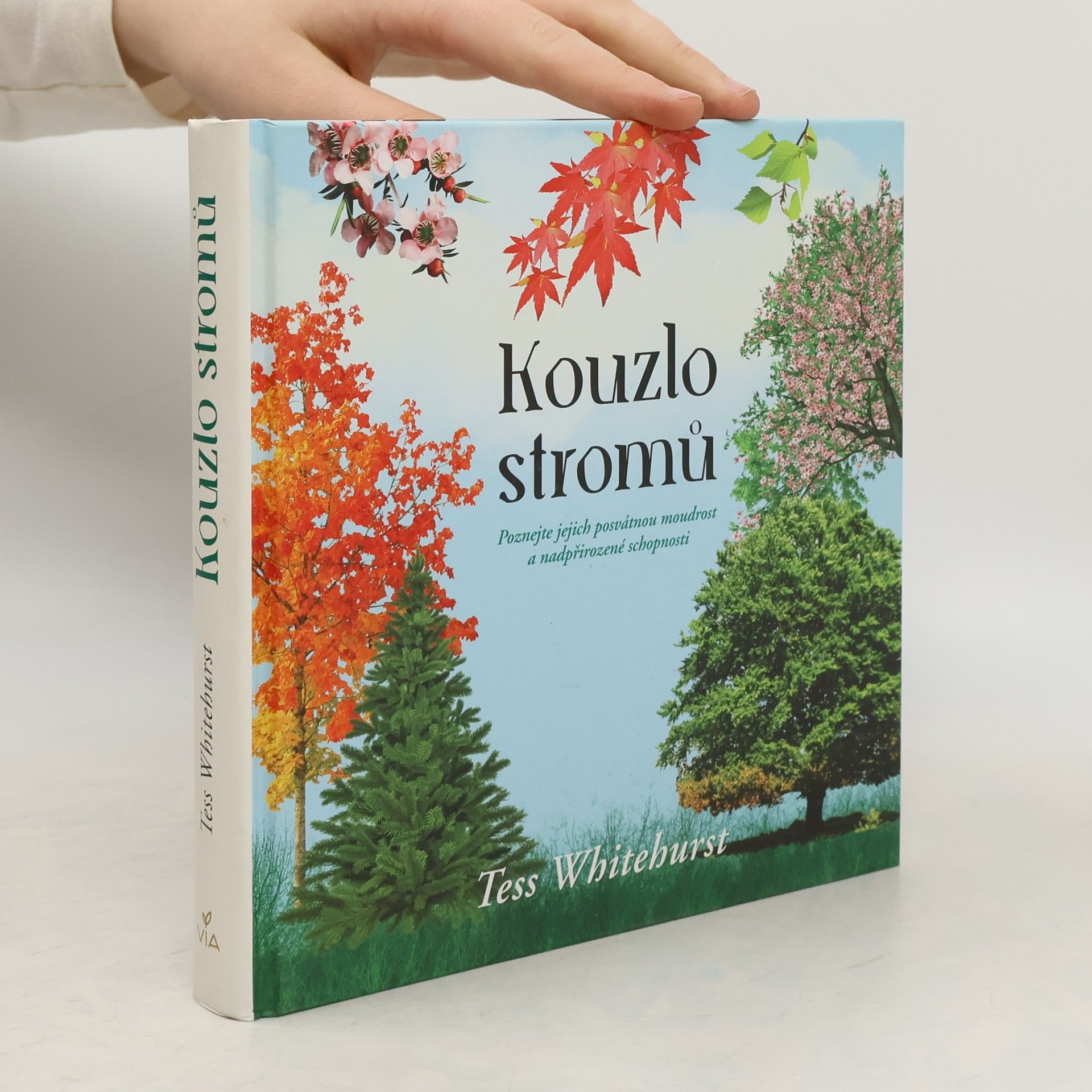 Tess Whitehurst Kouzlo stromů : poznejte jejich posvátnou moudrost a nadpřirozené schopnosti