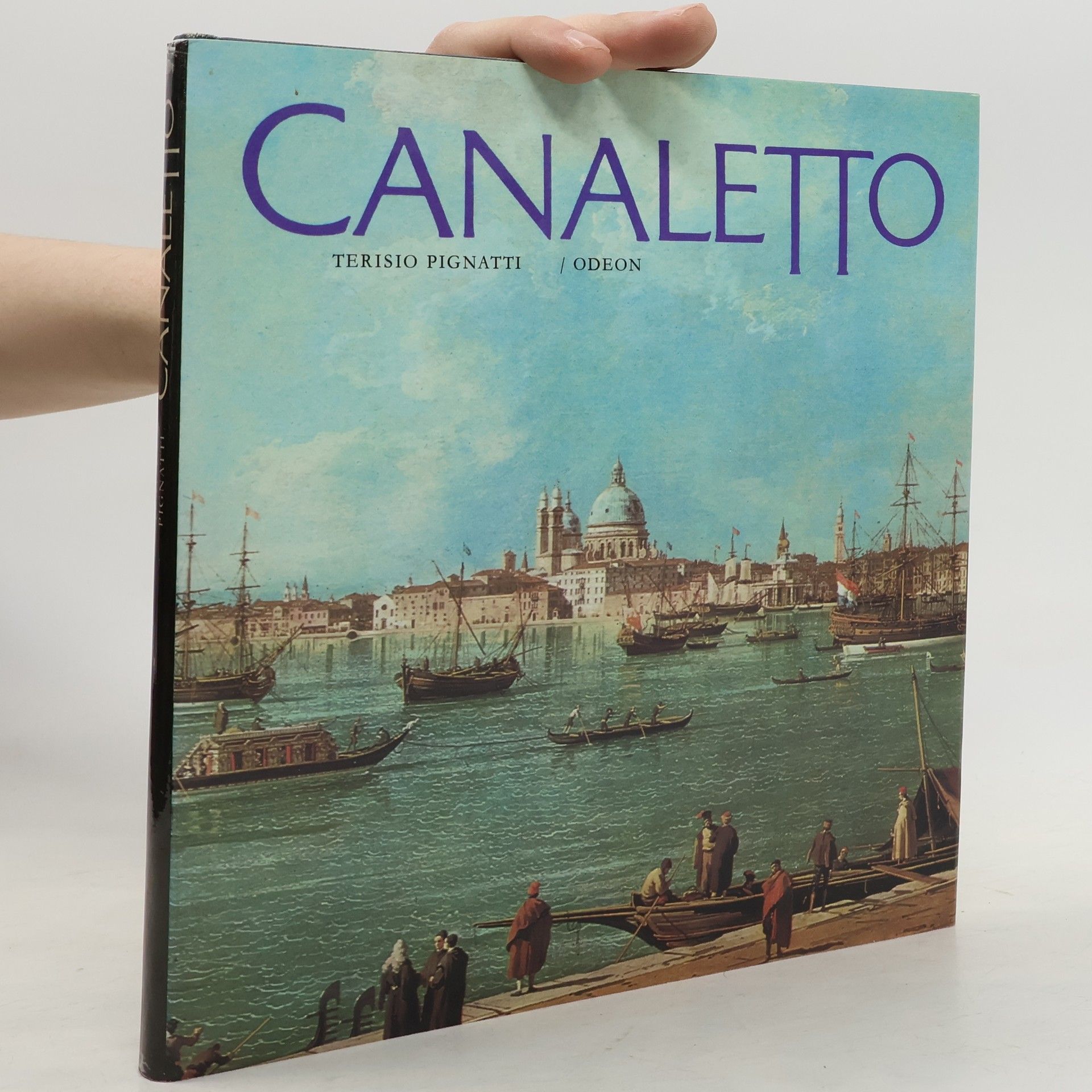 Terisio Pignatti Canaletto