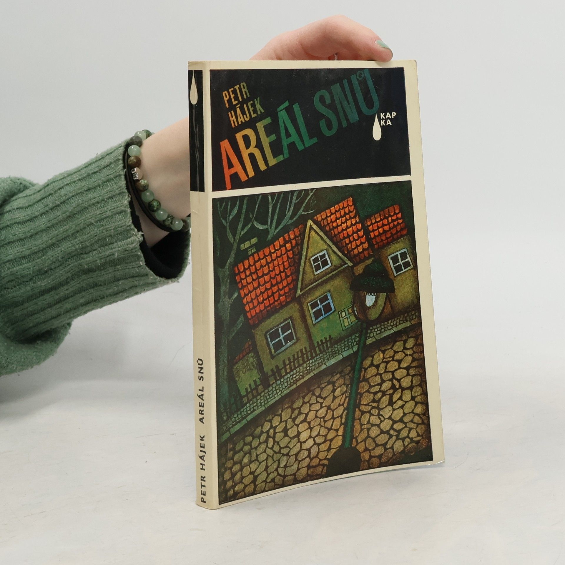 Petr P. Hájek Areál snů