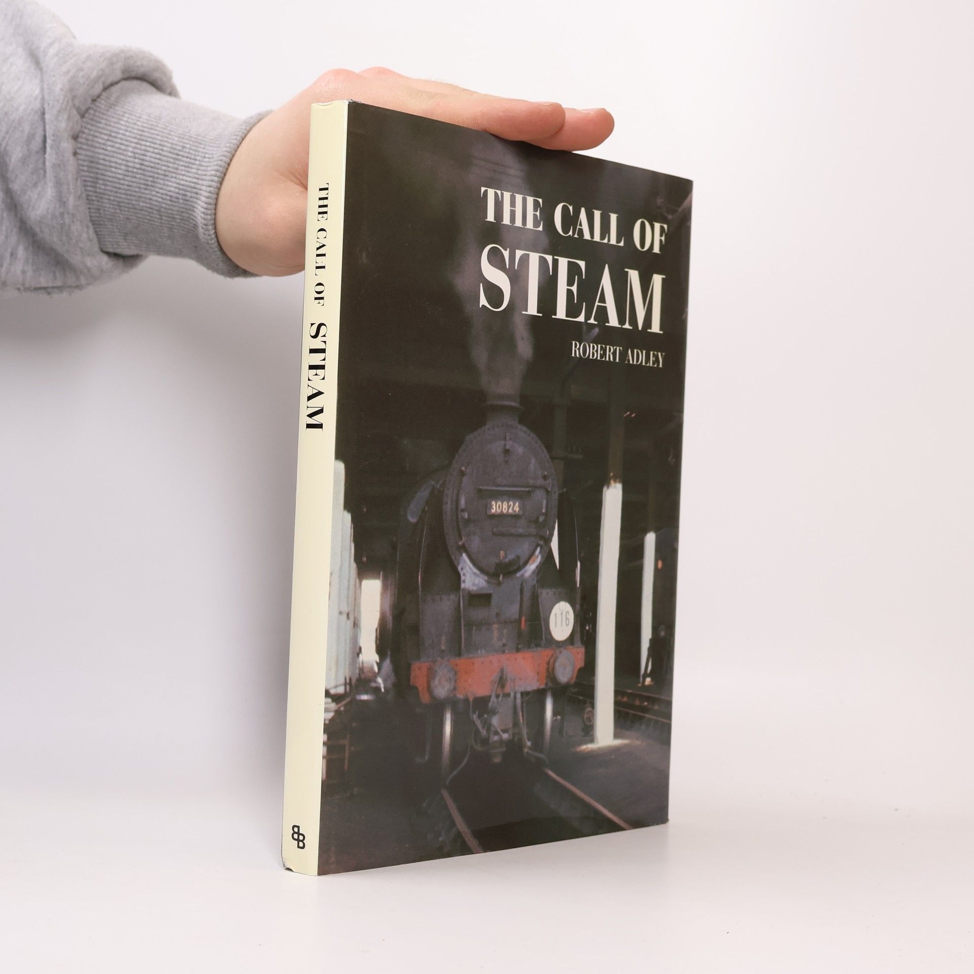 Steam Railway: The Call of Steam