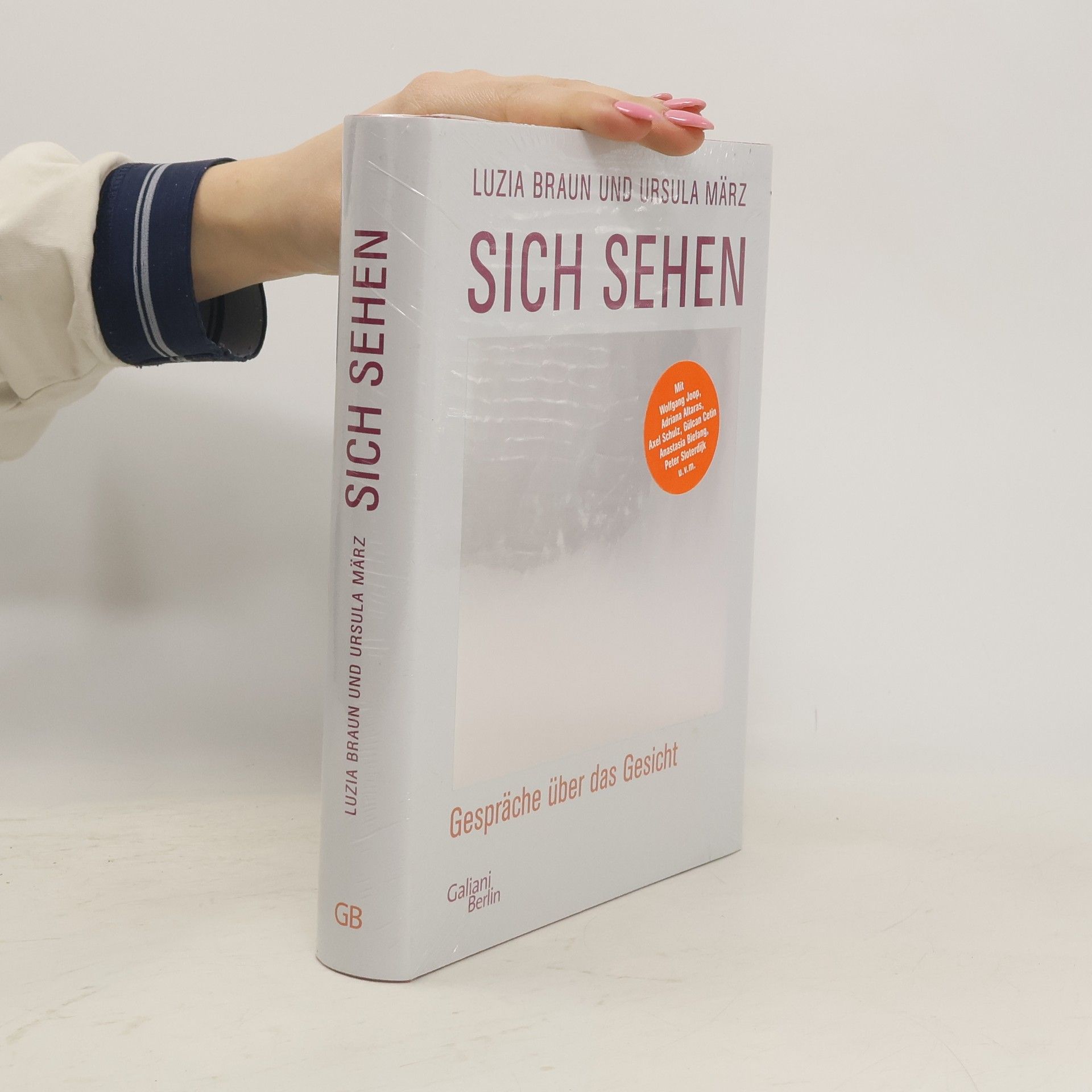 Luzia Braun Sich sehen. Gespräche über das Gesicht