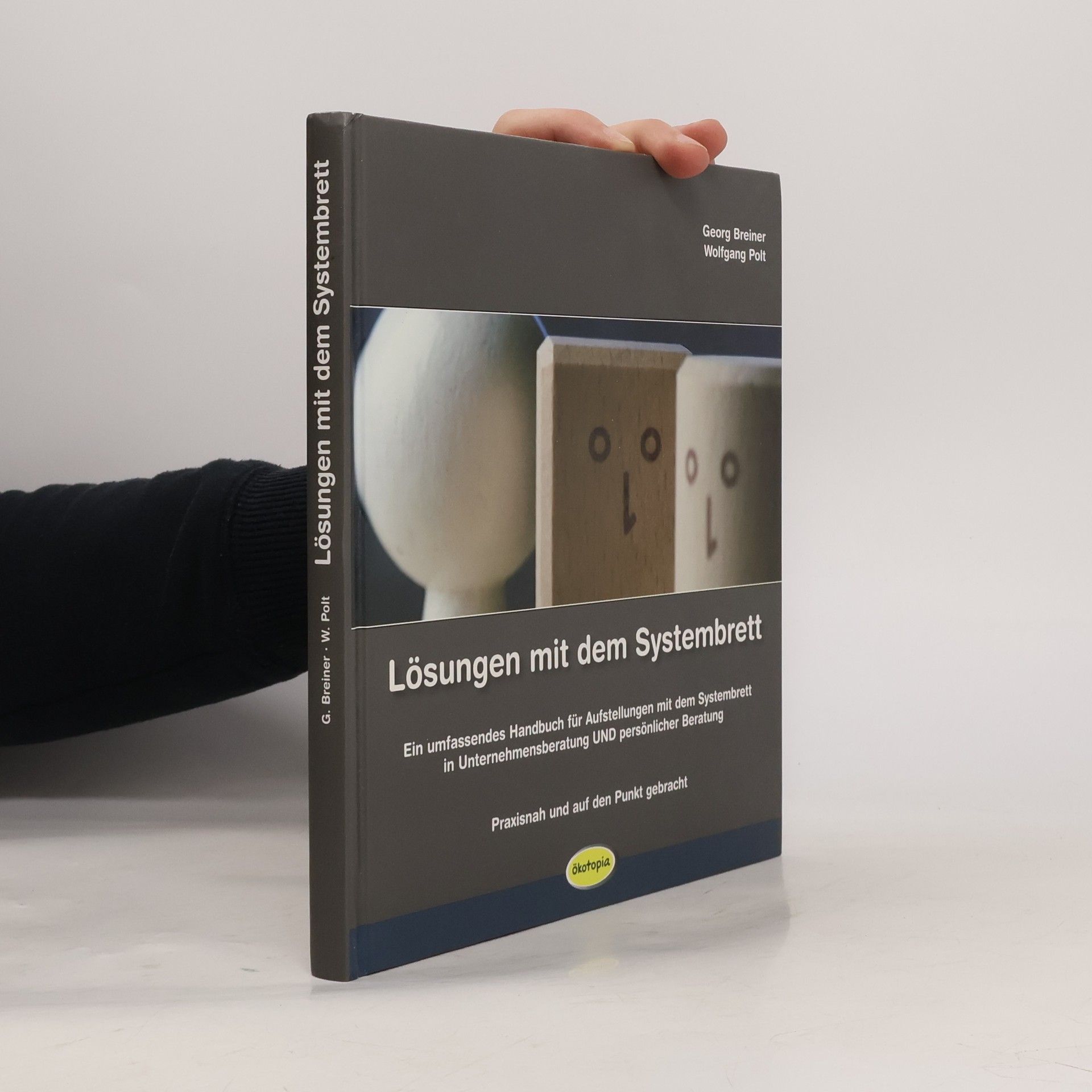Georg Breiner Lösungen mit dem Systembrett