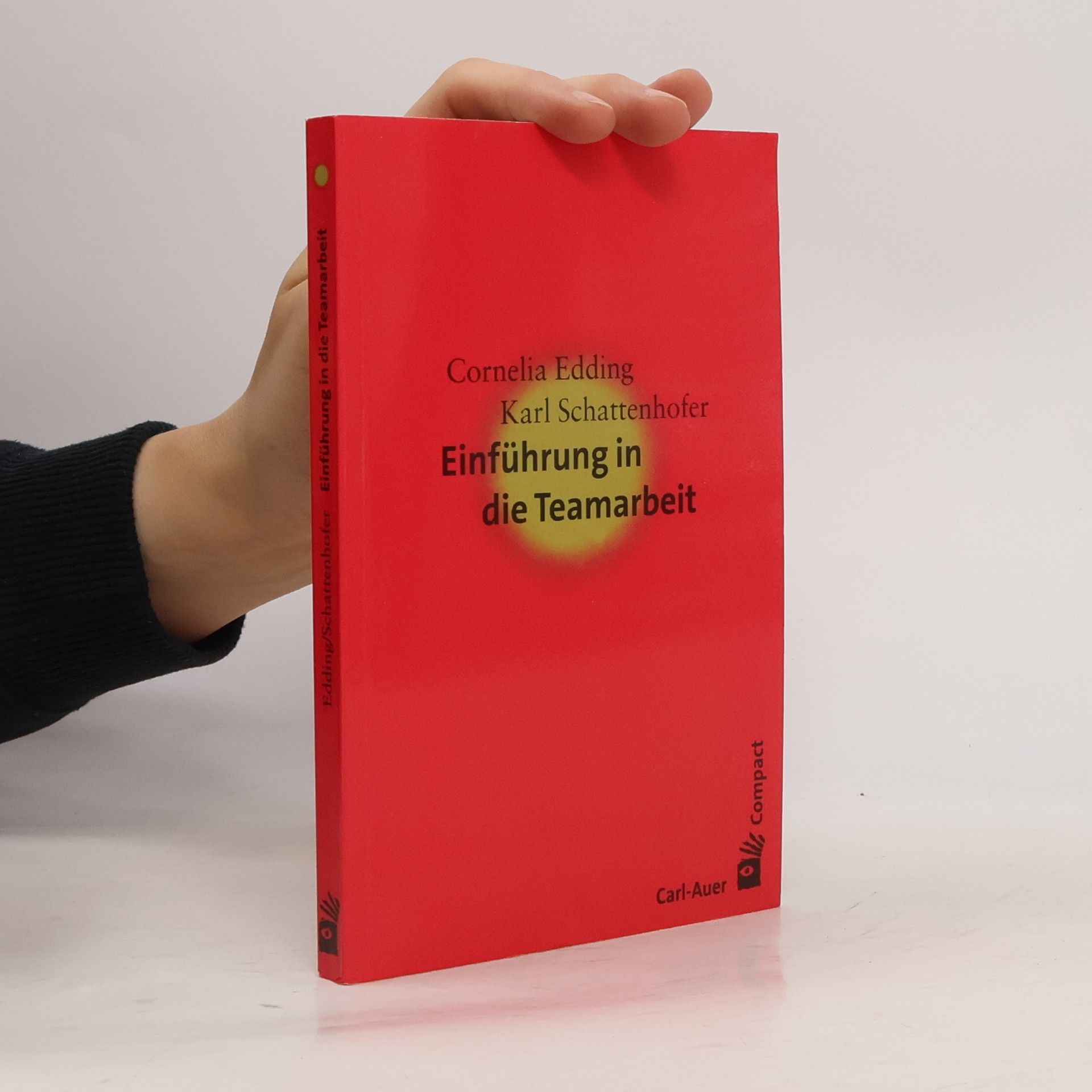 Cornelia Edding Einführung in die Teamarbeit