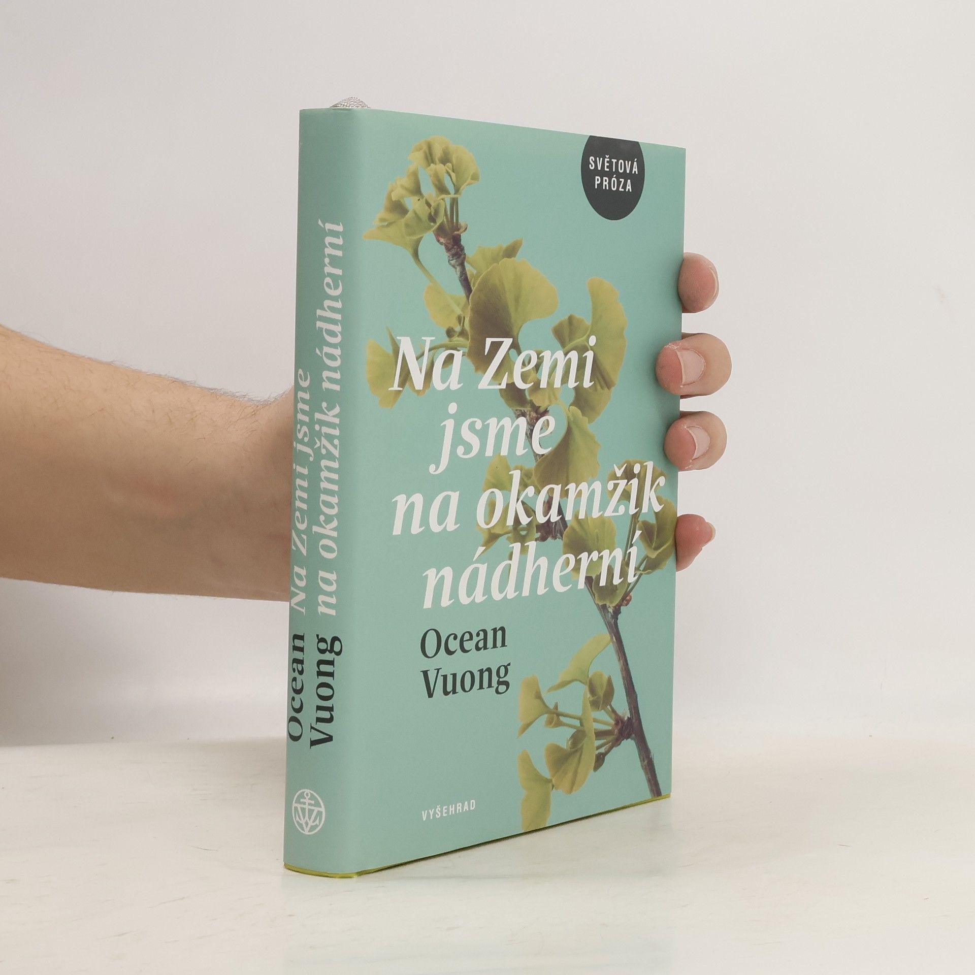 Ocean Vuong Na Zemi jsme na okamžik nádherní