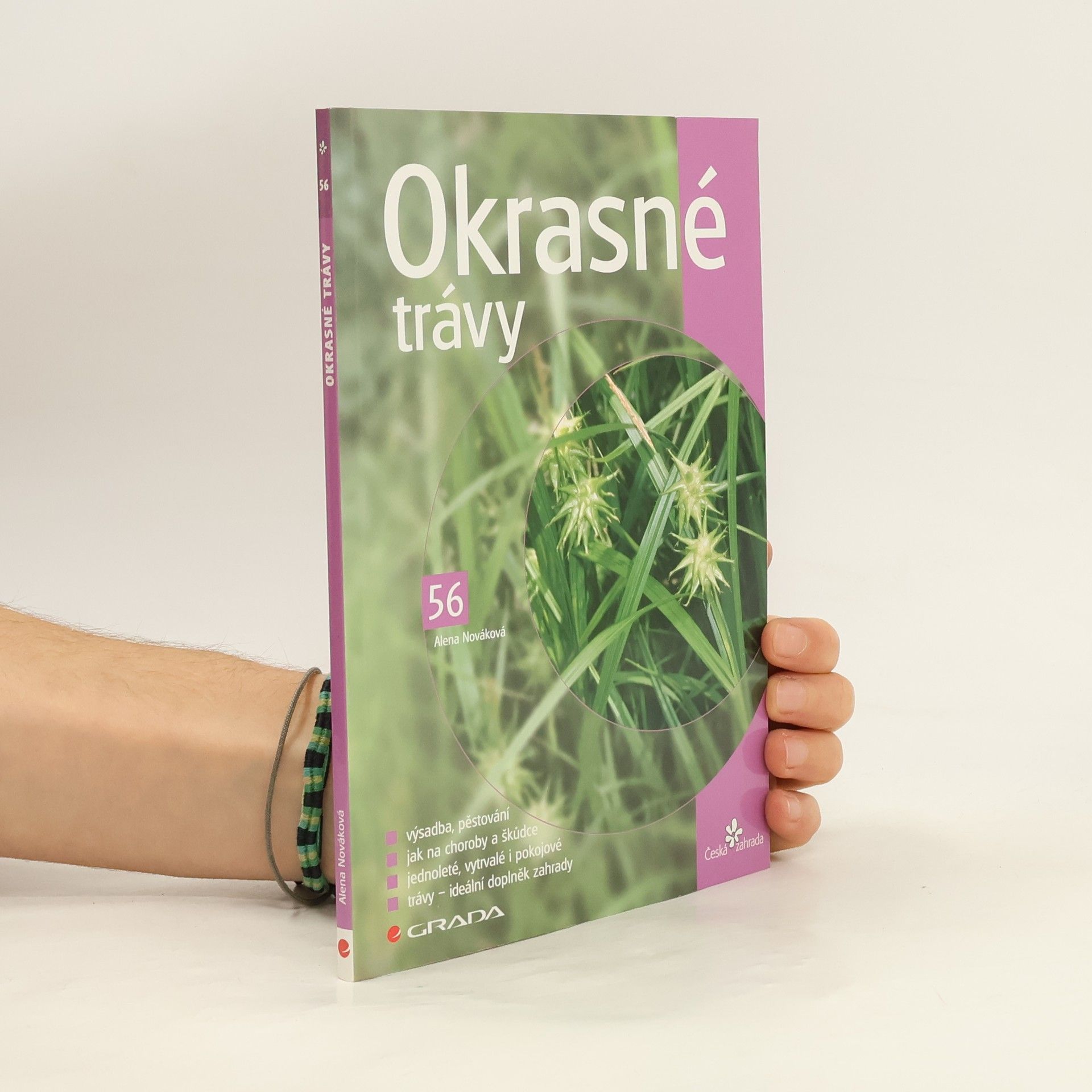 Alena Nováková Okrasné trávy