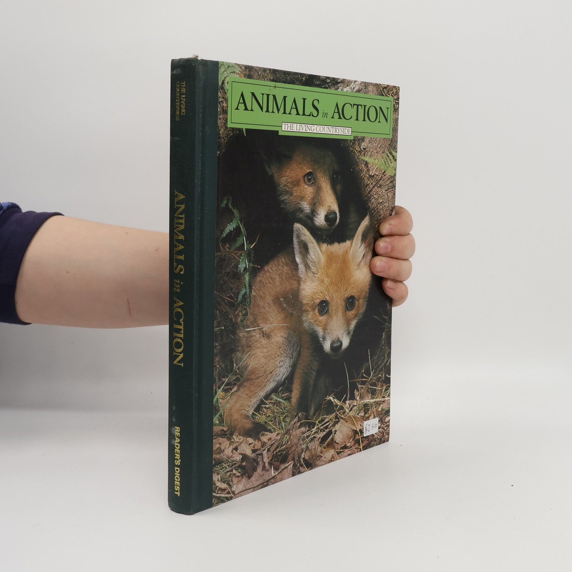 Kolektív autorov Animals in Action