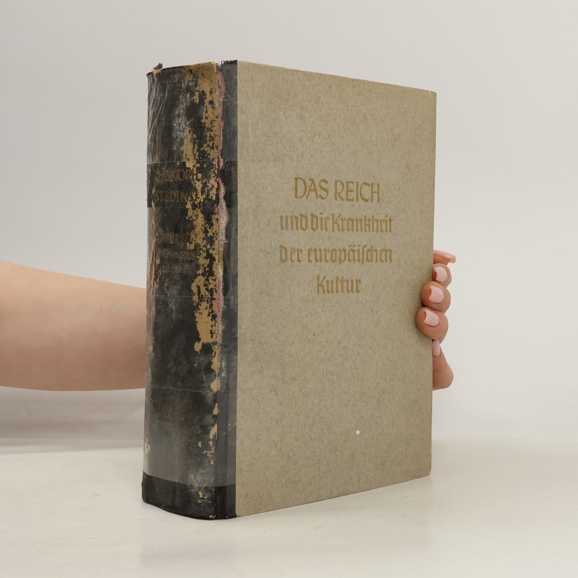 Kolektiv autorů Das Reich und die Krankheit der europäischen Kultur