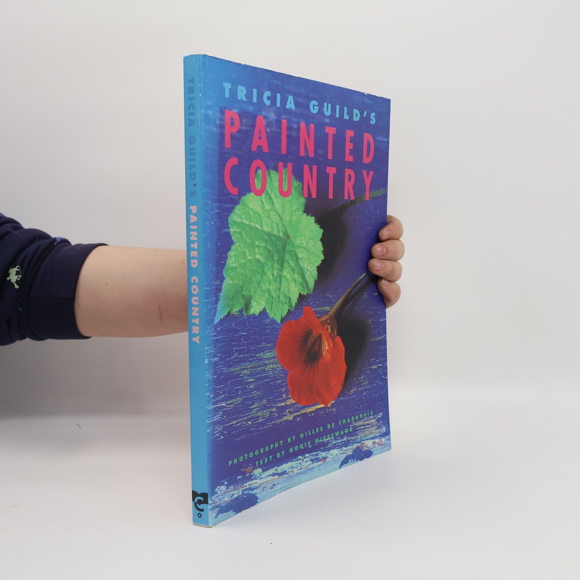 Tricia Guild Tricia Guild's Painted Country