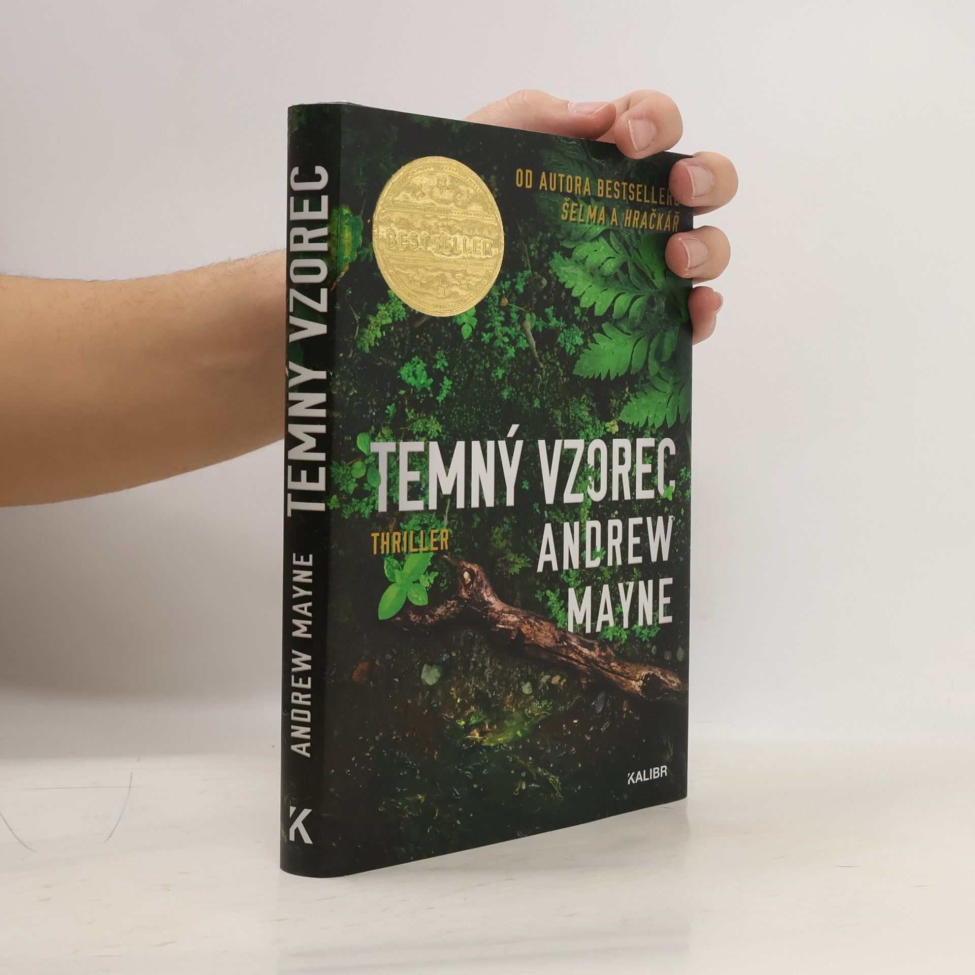 Andrew Mayne Temný vzorec