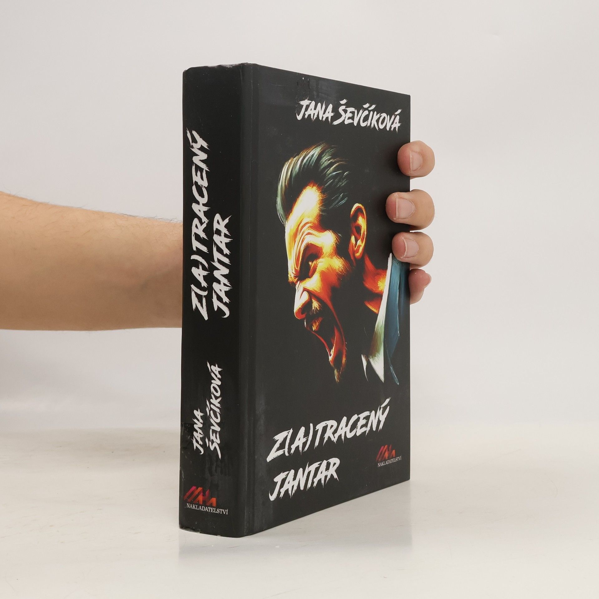 Jana Ševčíková Z(a)tracený jantar