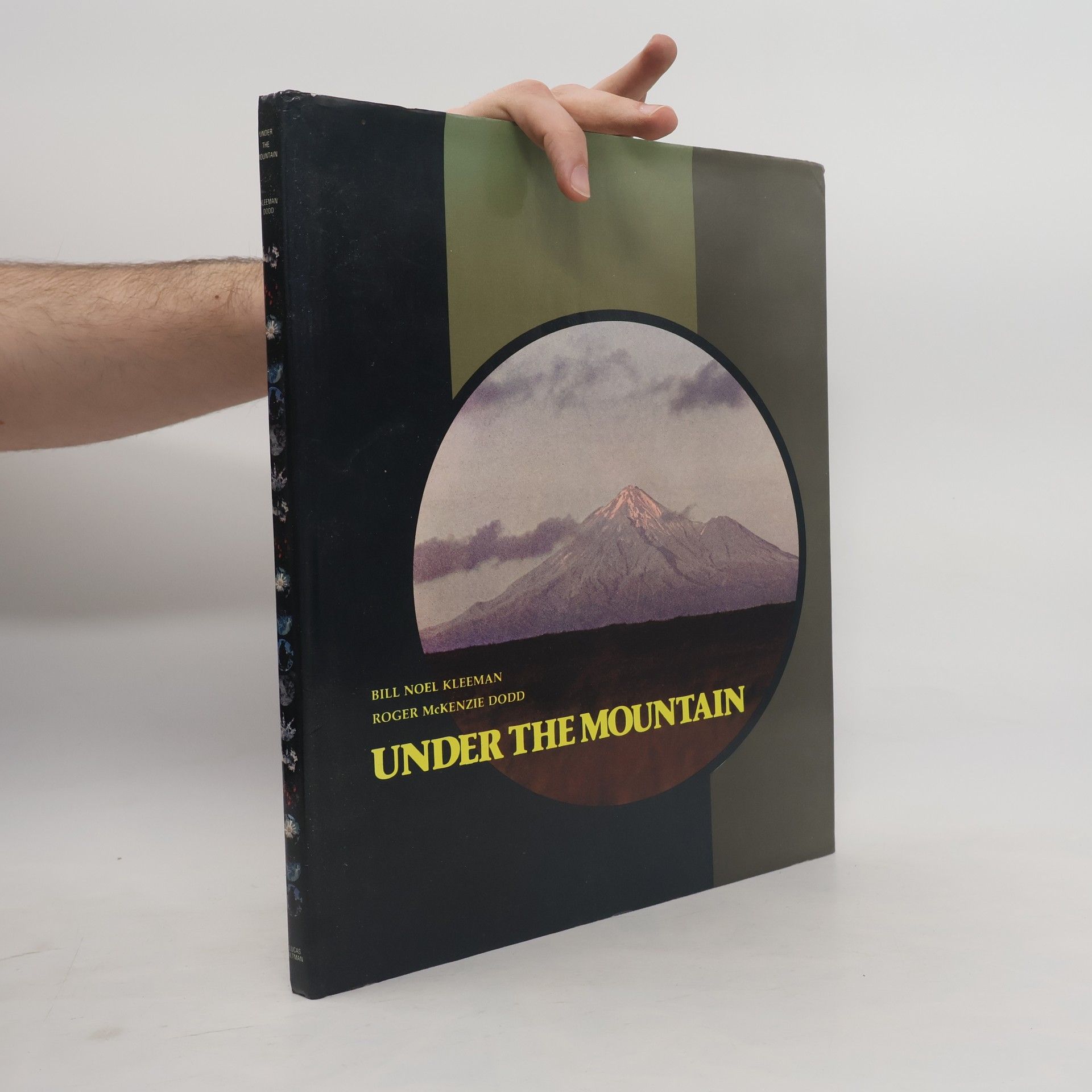 Bill Noel Kleeman Under the Mountain