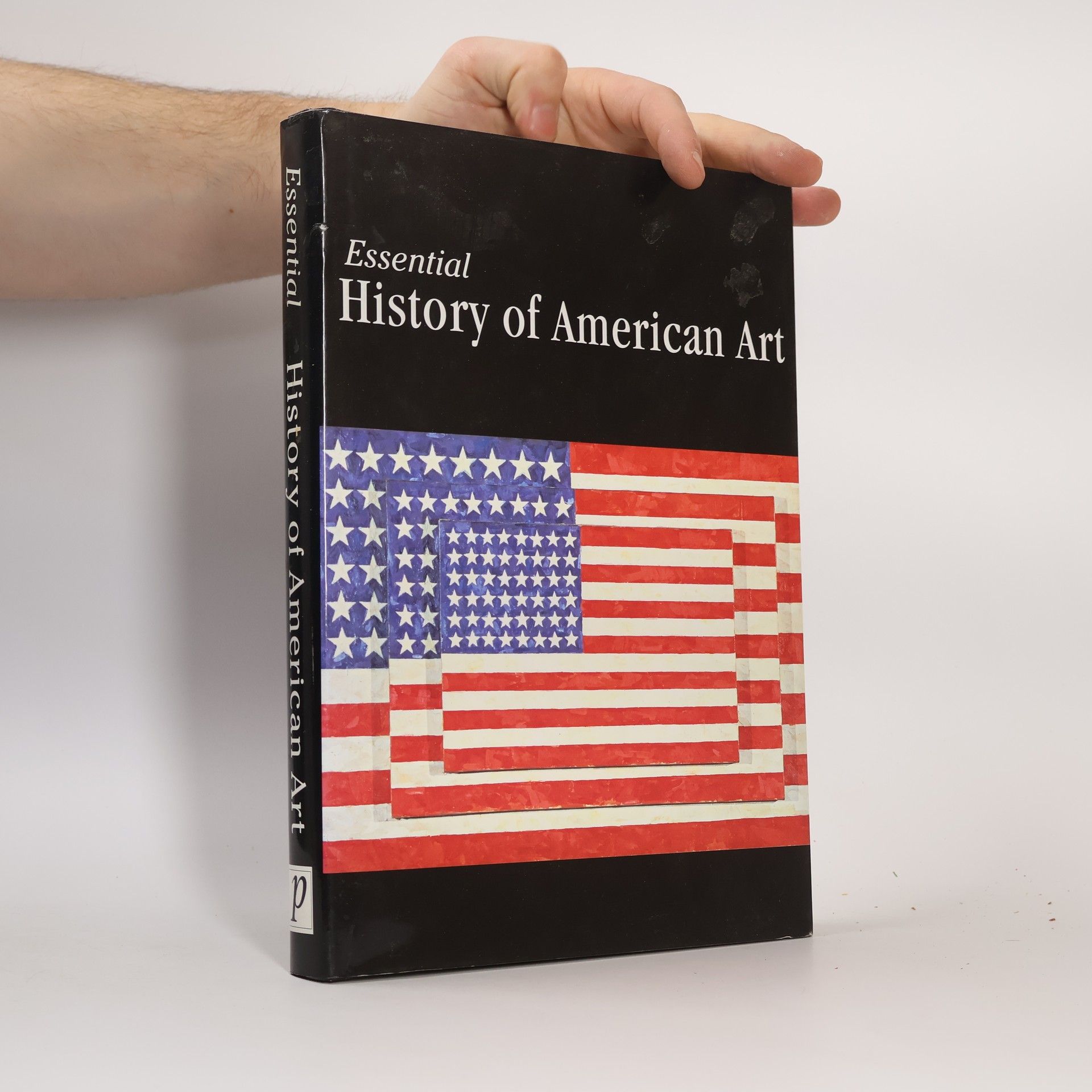 Suzanne Bailey Essential History of American Art