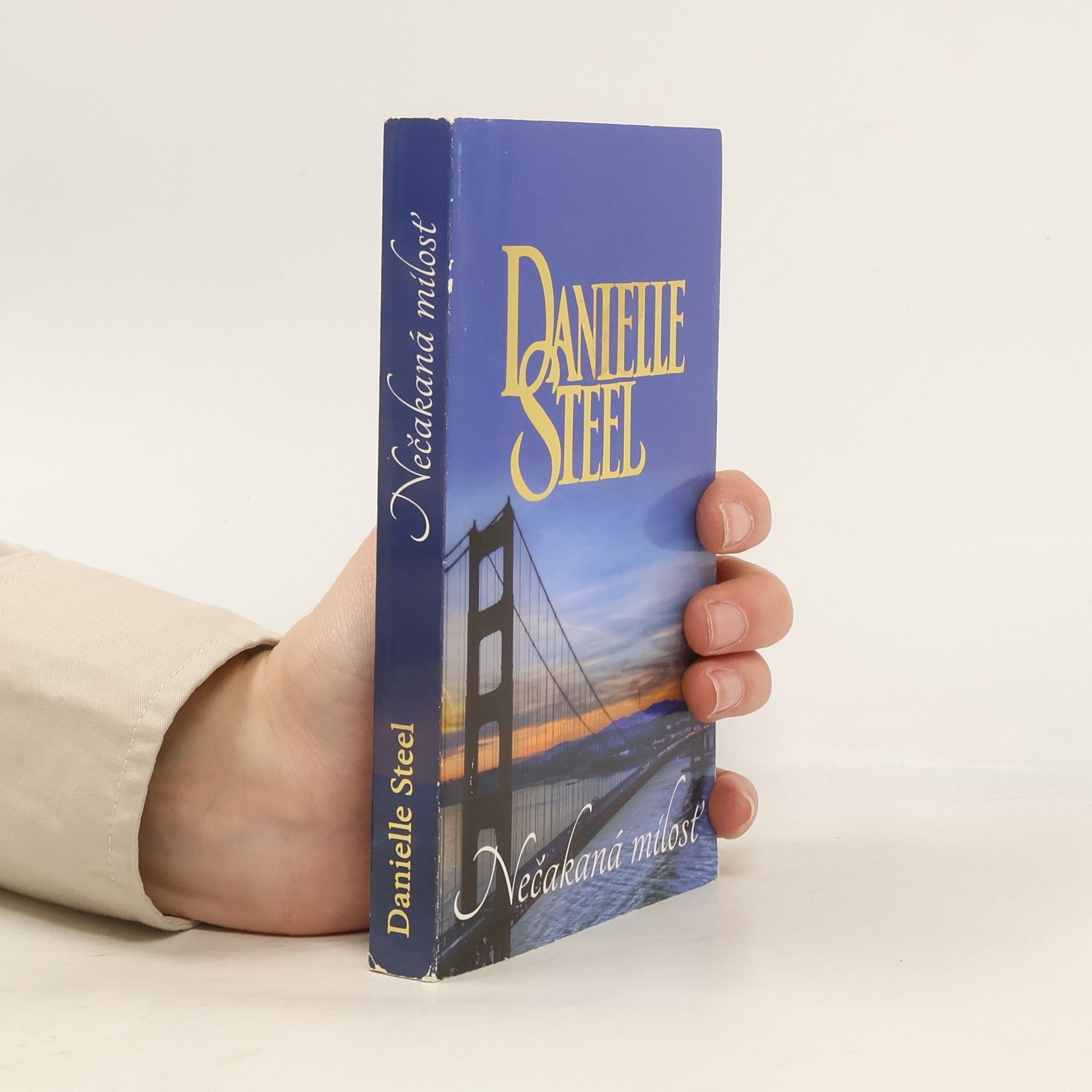 Danielle Steel Nečakaná mílosť