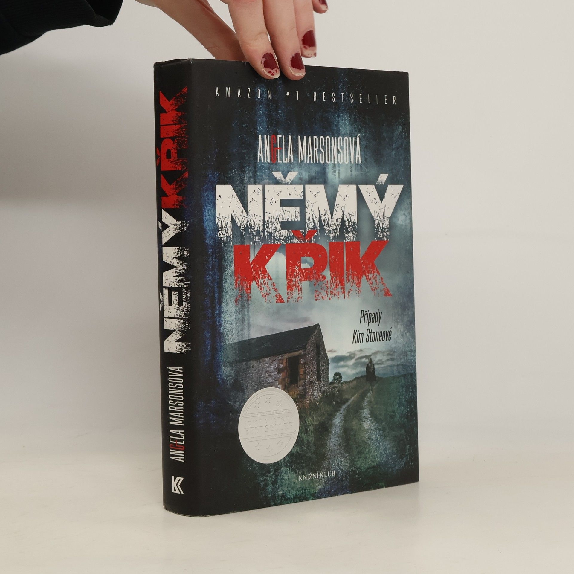 Angela Marsons Němý křik