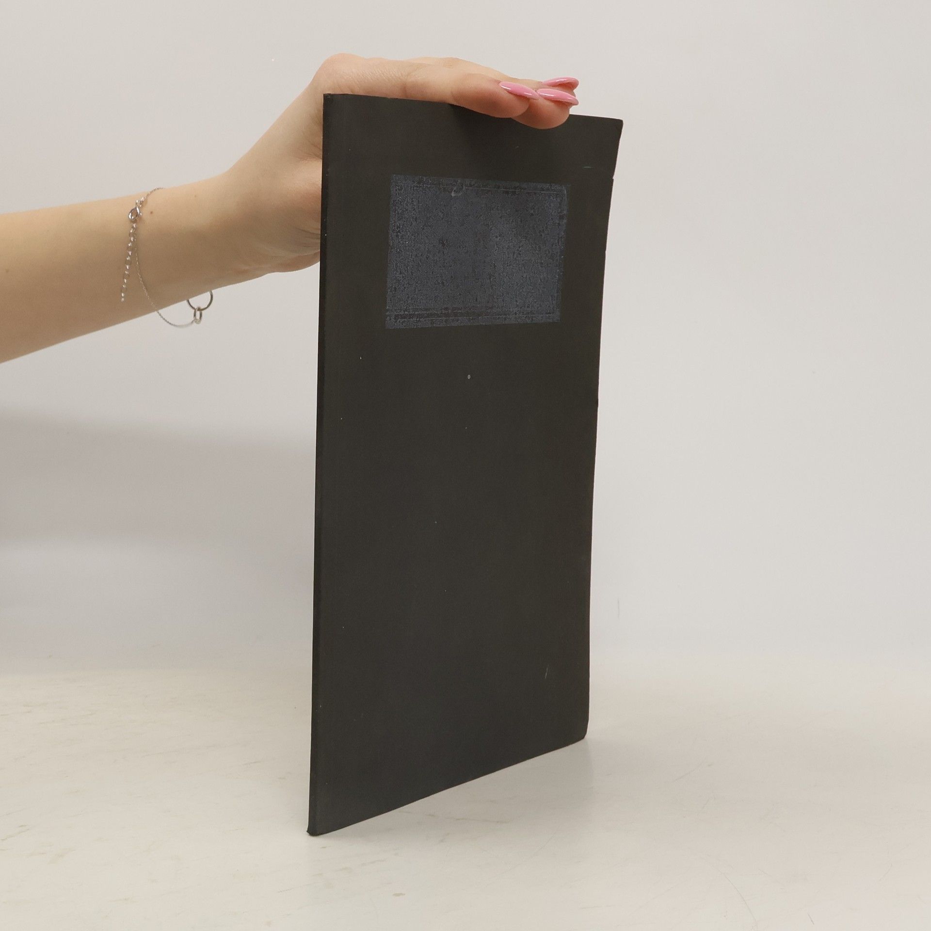 Jochen Hörisch Die Theorie der Verausgabung und die Verausgabung der Theorie