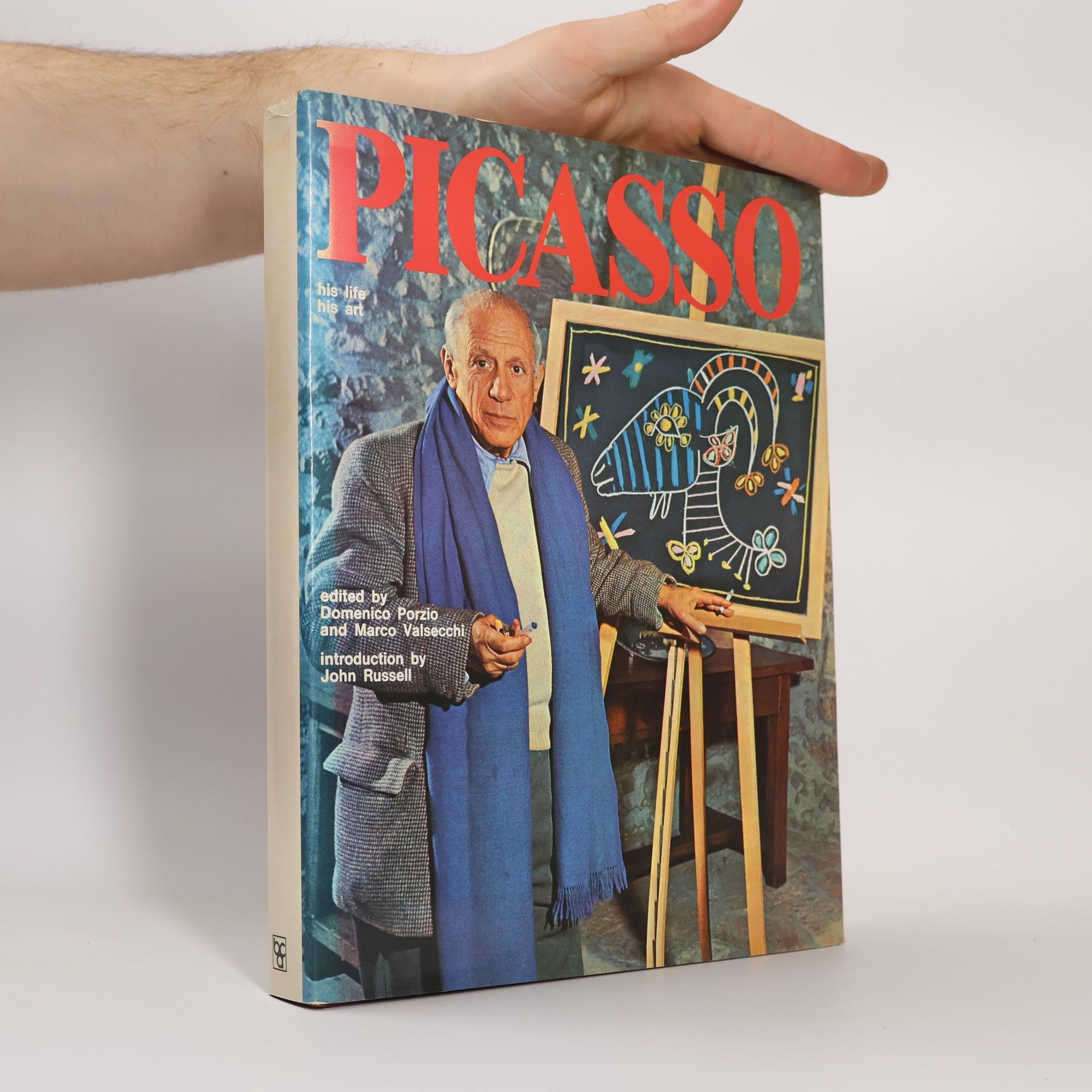 Domenico Porzio Picasso