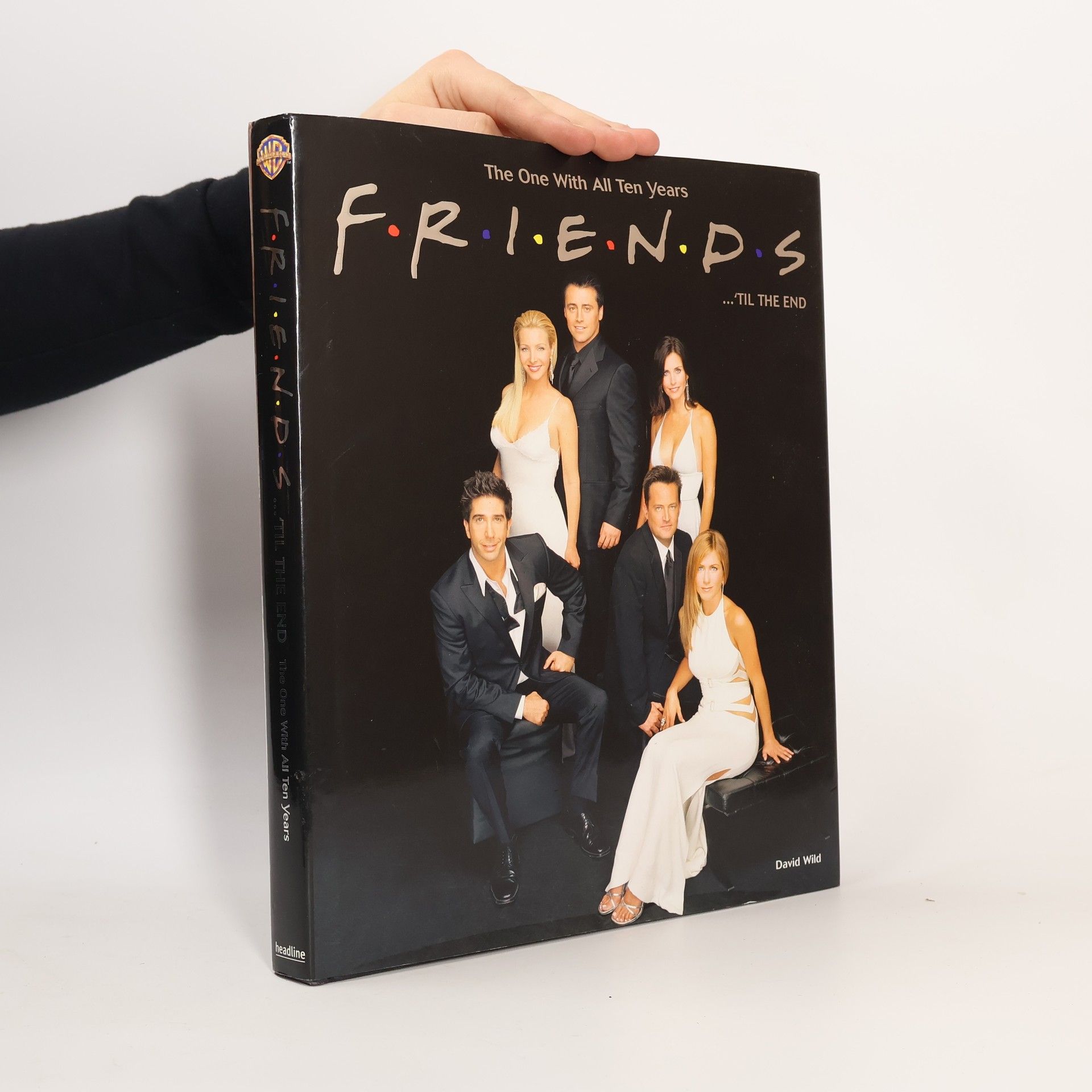 David Wild Friends 'Til the End