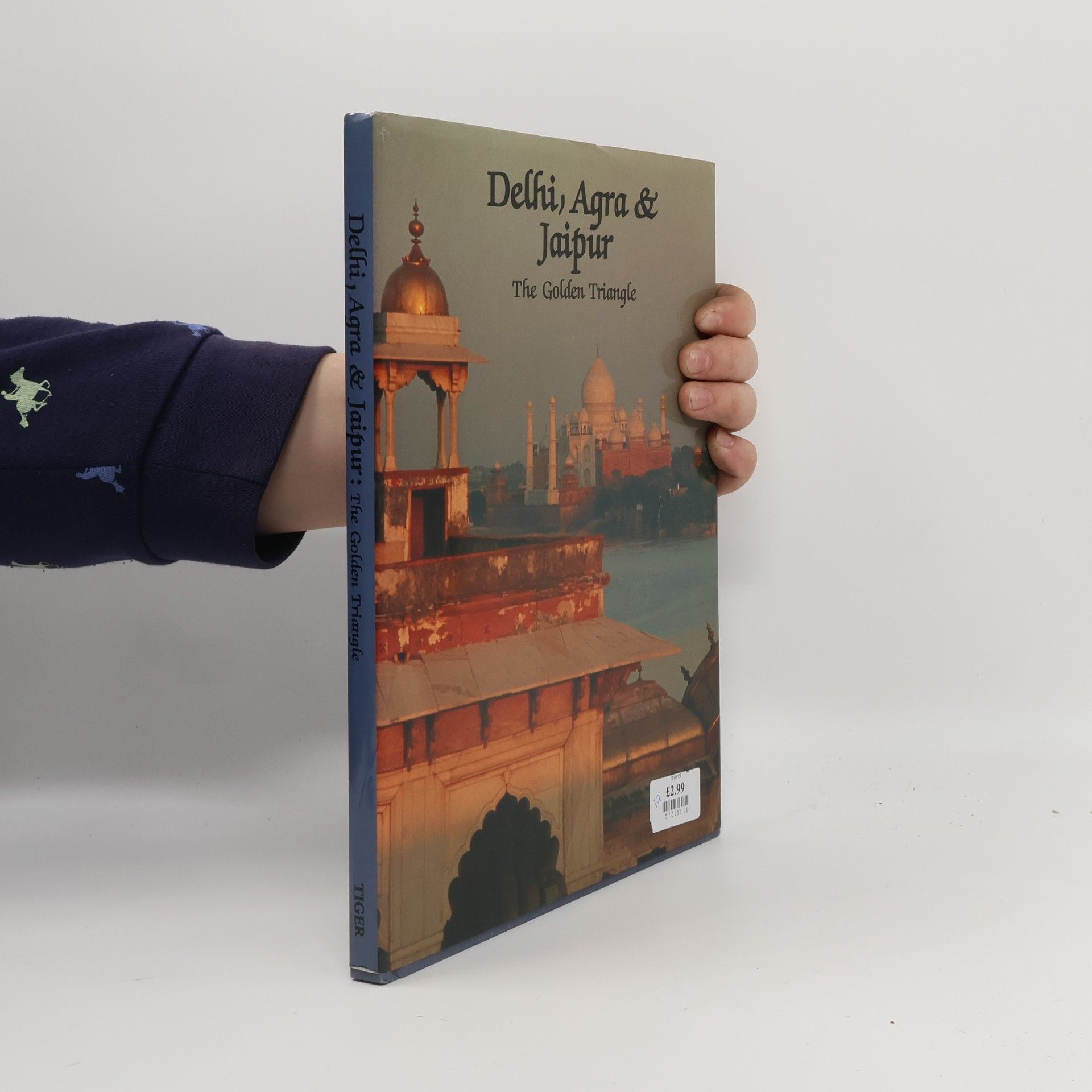 Sumi Krishna Chauhan Delhi Agra and Jaipur