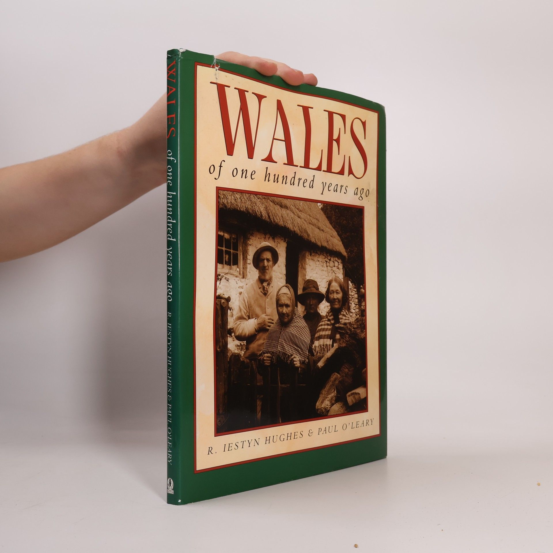R. Iestyn Hughes Sutton Illustrated History Paperbacks: Wales of One Hundred Years Ago