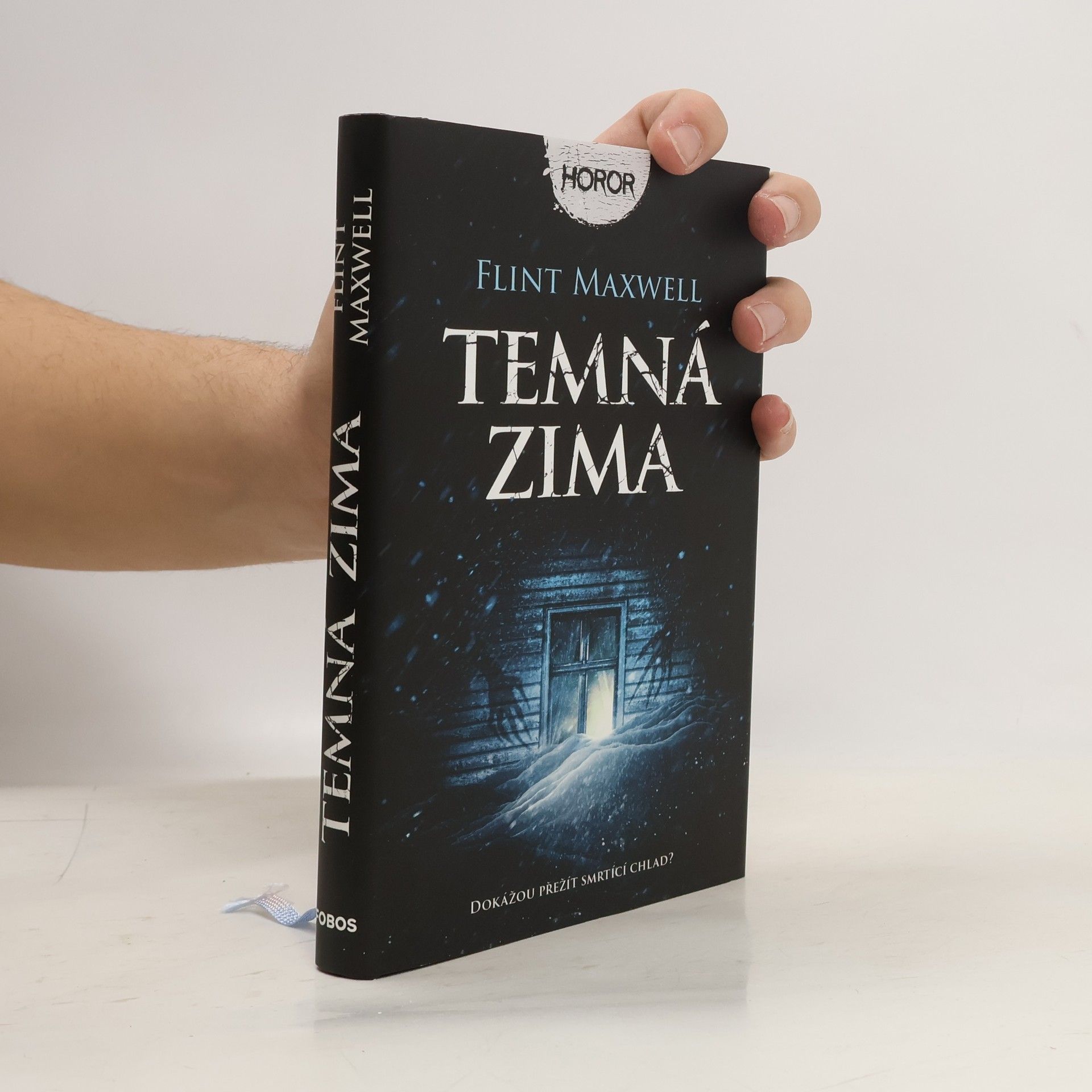 Flint Maxwell Temná zima