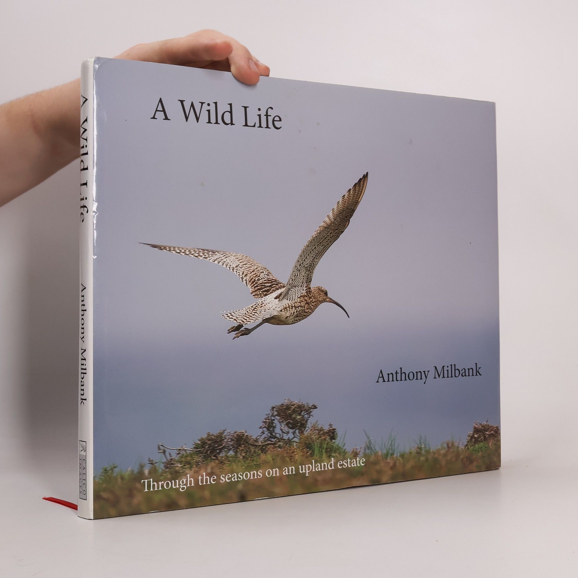 Anthony Milbank A Wild Life