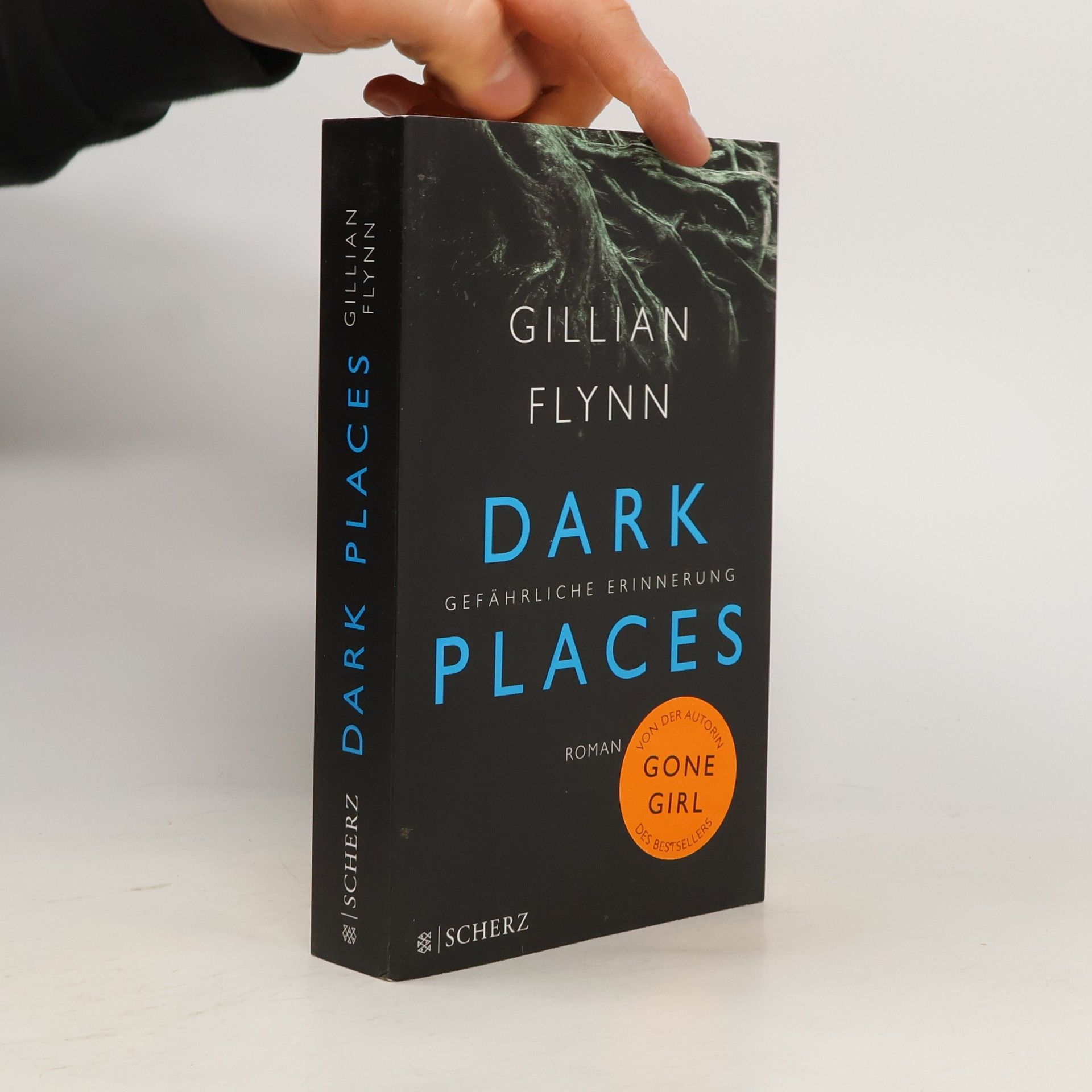 Gillian Flynn Dark places