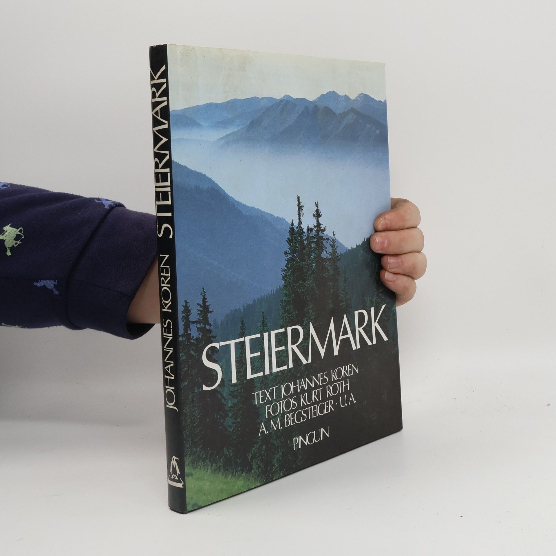 Johannes Koren Steiermark