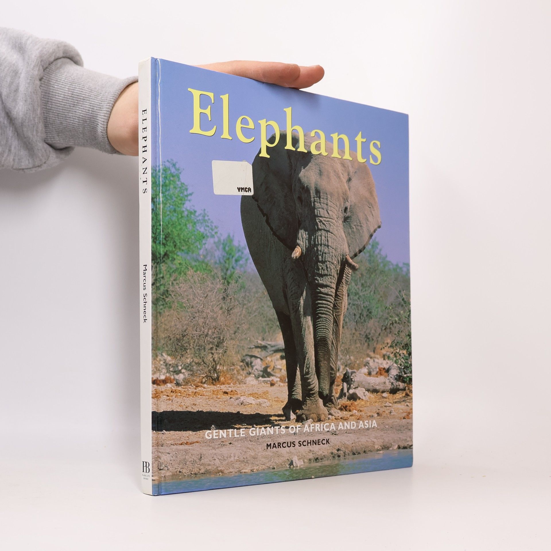 Marcus Schneck Elephants