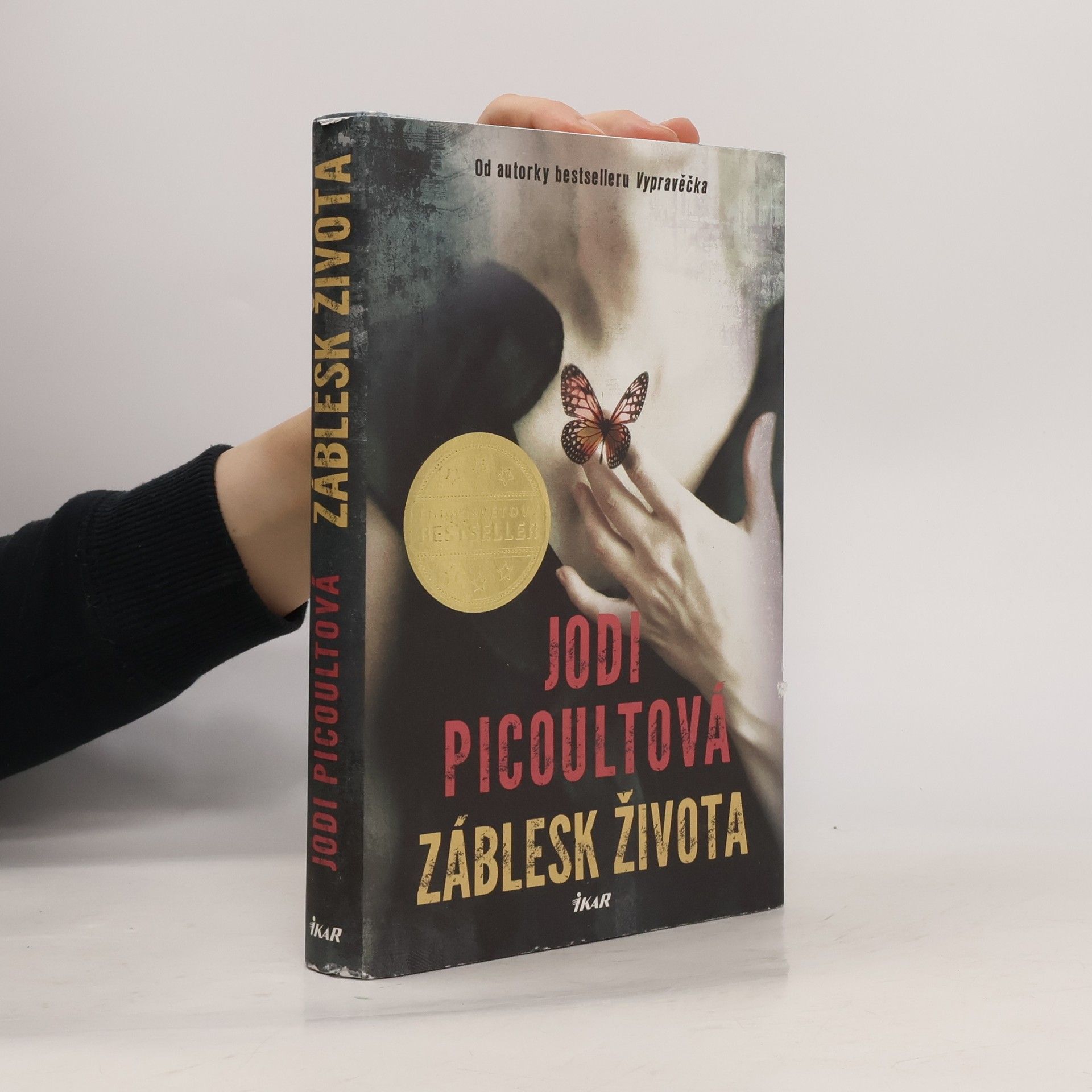 Jodi Picoult Záblesk života