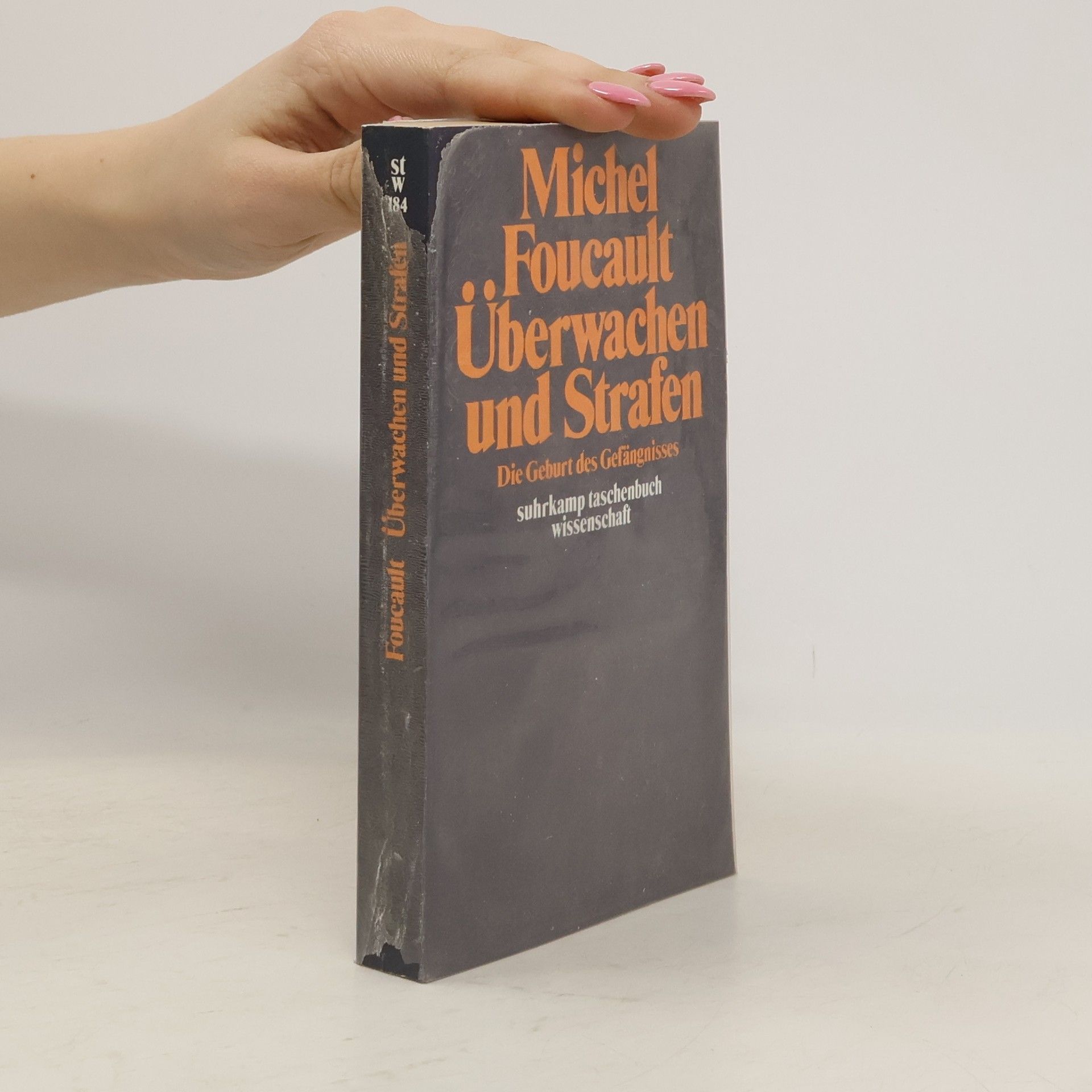 Michel Foucault Überwachen und Strafen