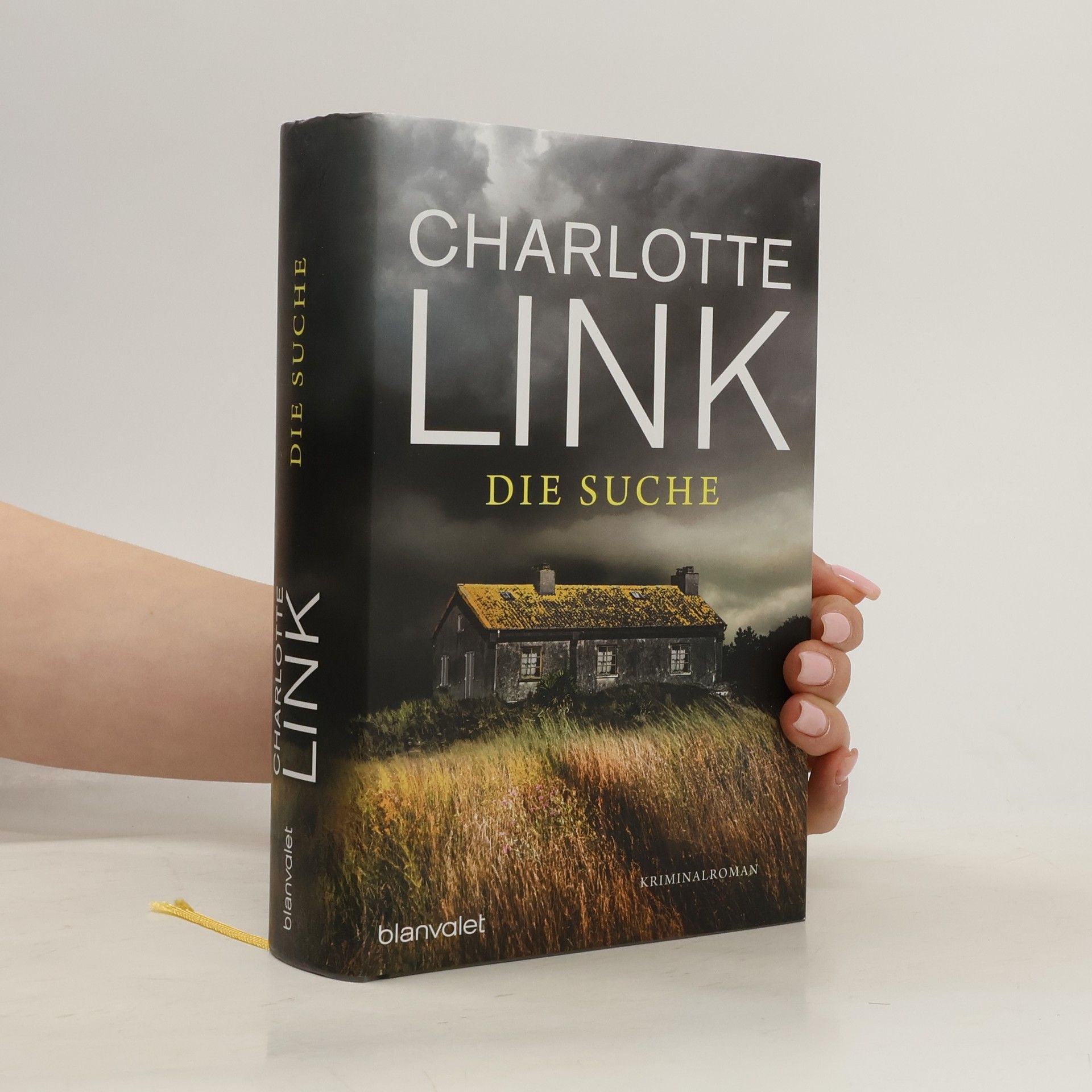Charlotte Link Die Suche