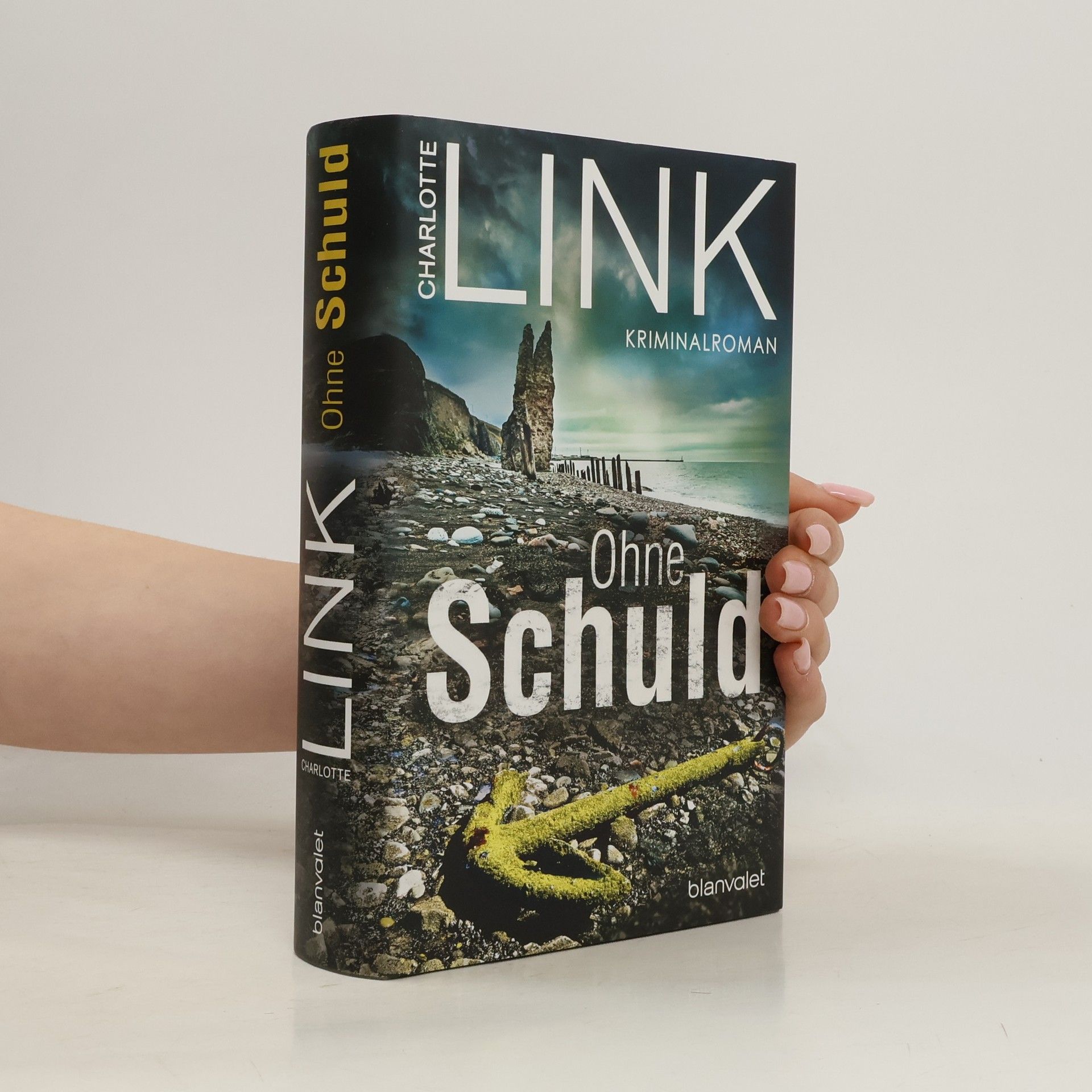 Charlotte Link Ohne Schuld