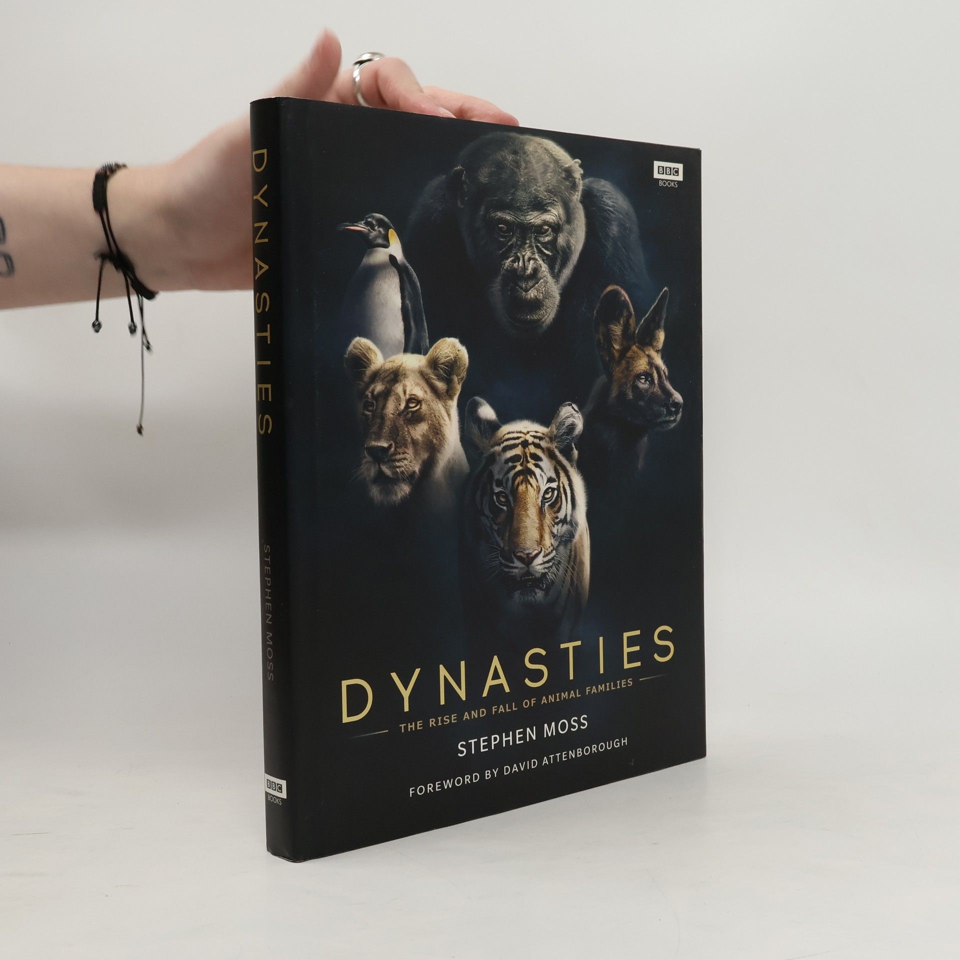Dynasties