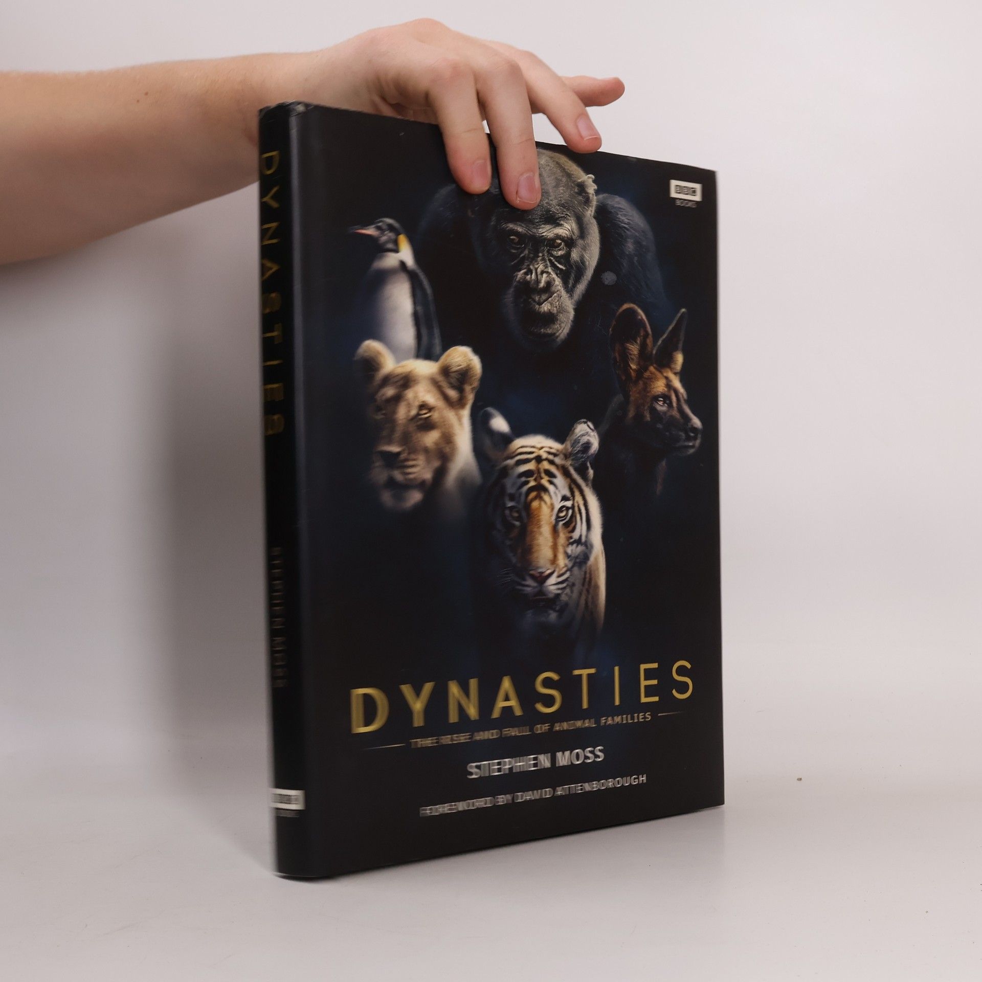Stephen Moss Dynasties