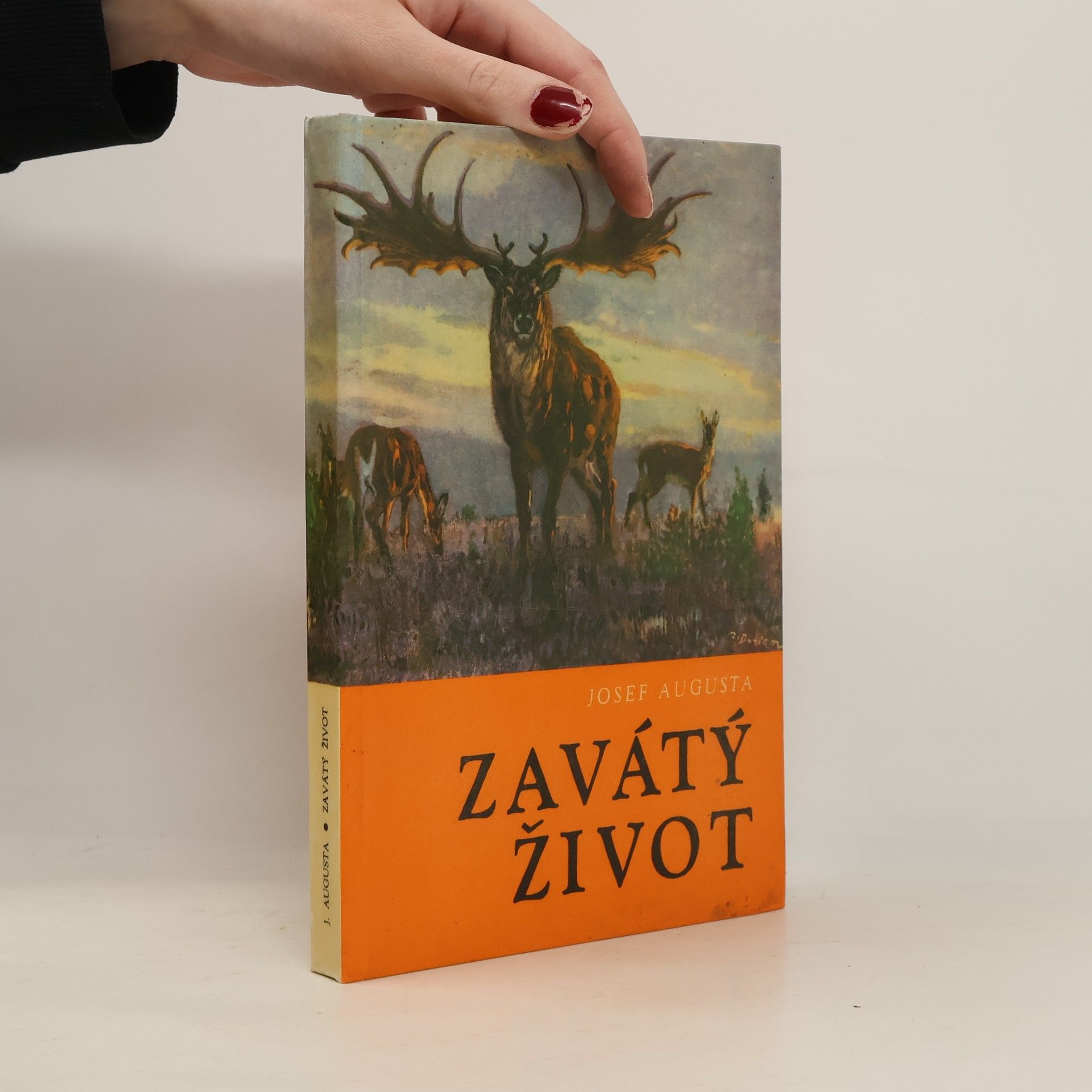 Josef Augusta Zavátý život