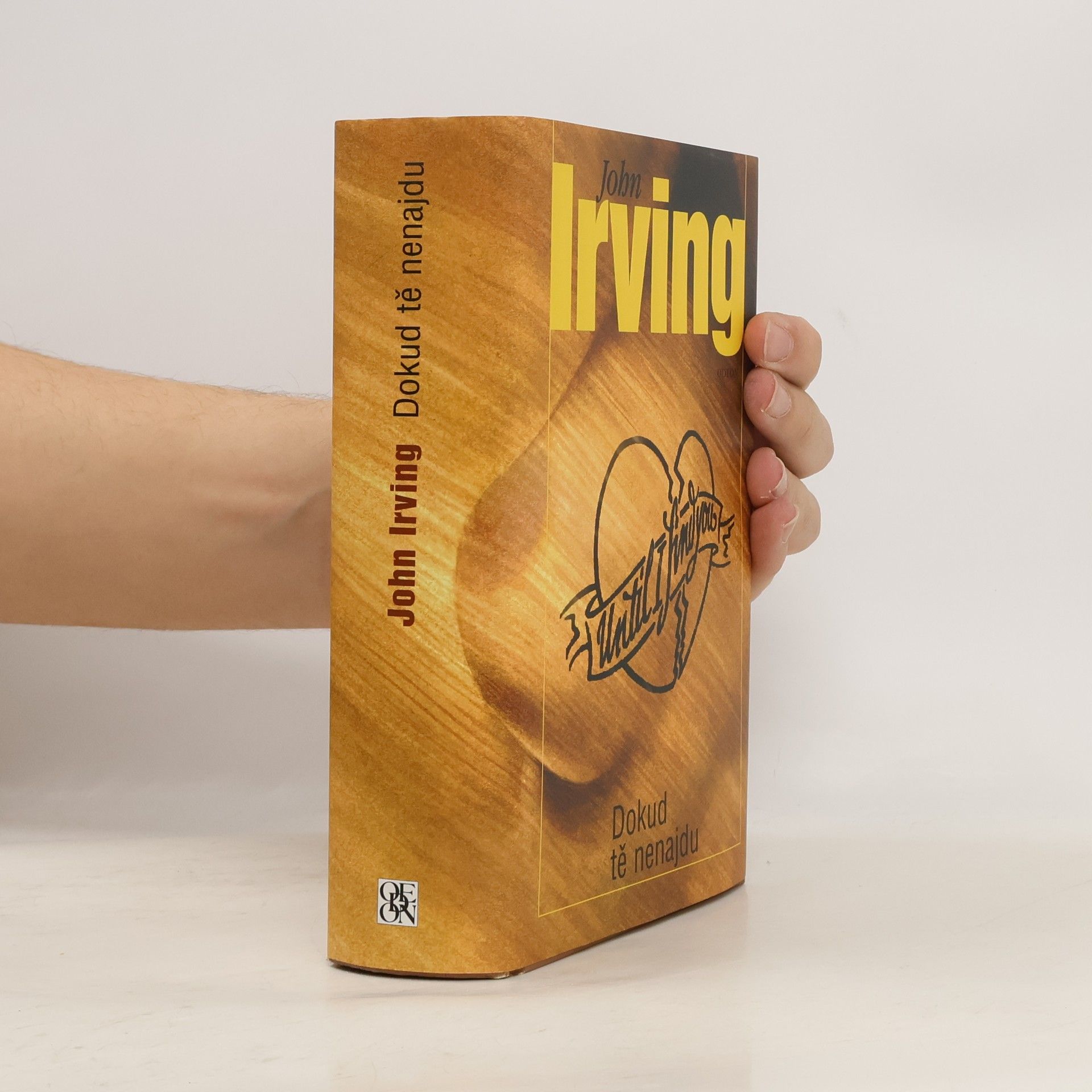 John Irving Dokud tě nenajdu